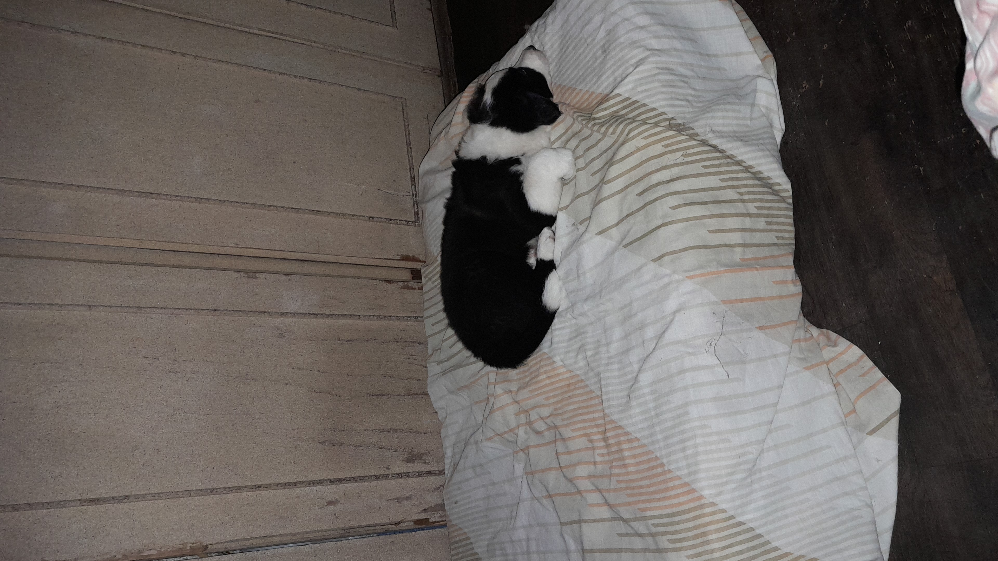 IMG-20221219-WA0131.jpeg