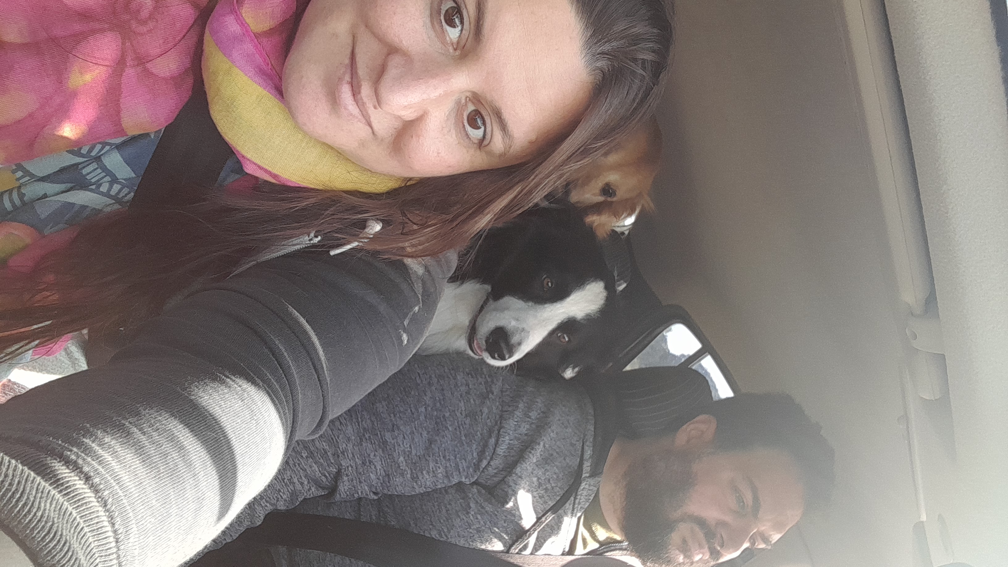 IMG-20221111-WA0007.jpeg