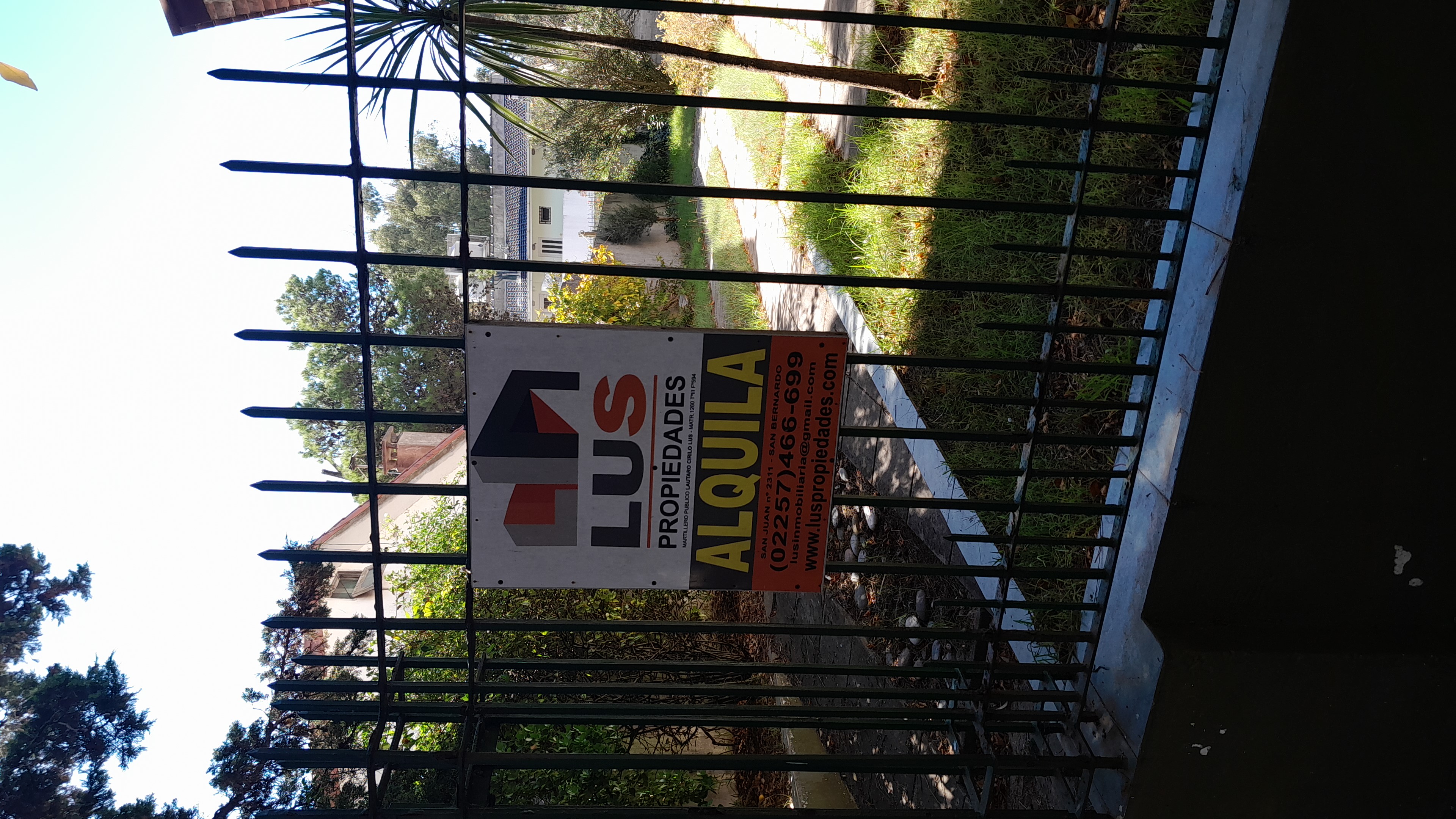 IMG-20230408-WA0041.jpeg