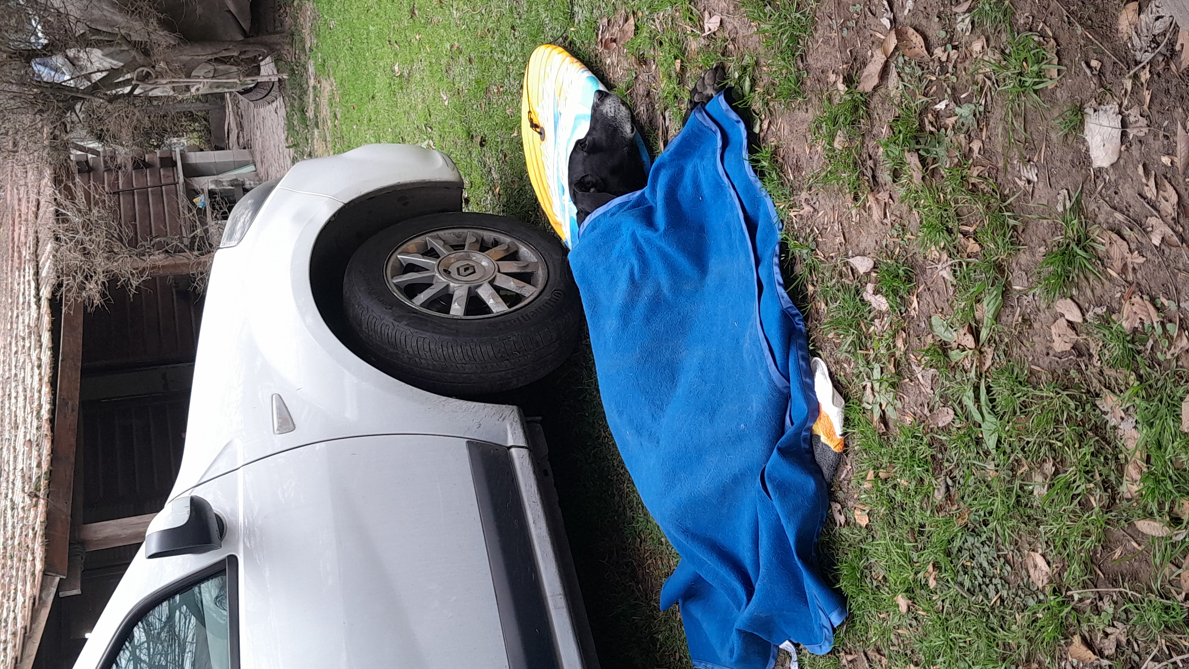IMG-20230806-WA0005.jpeg