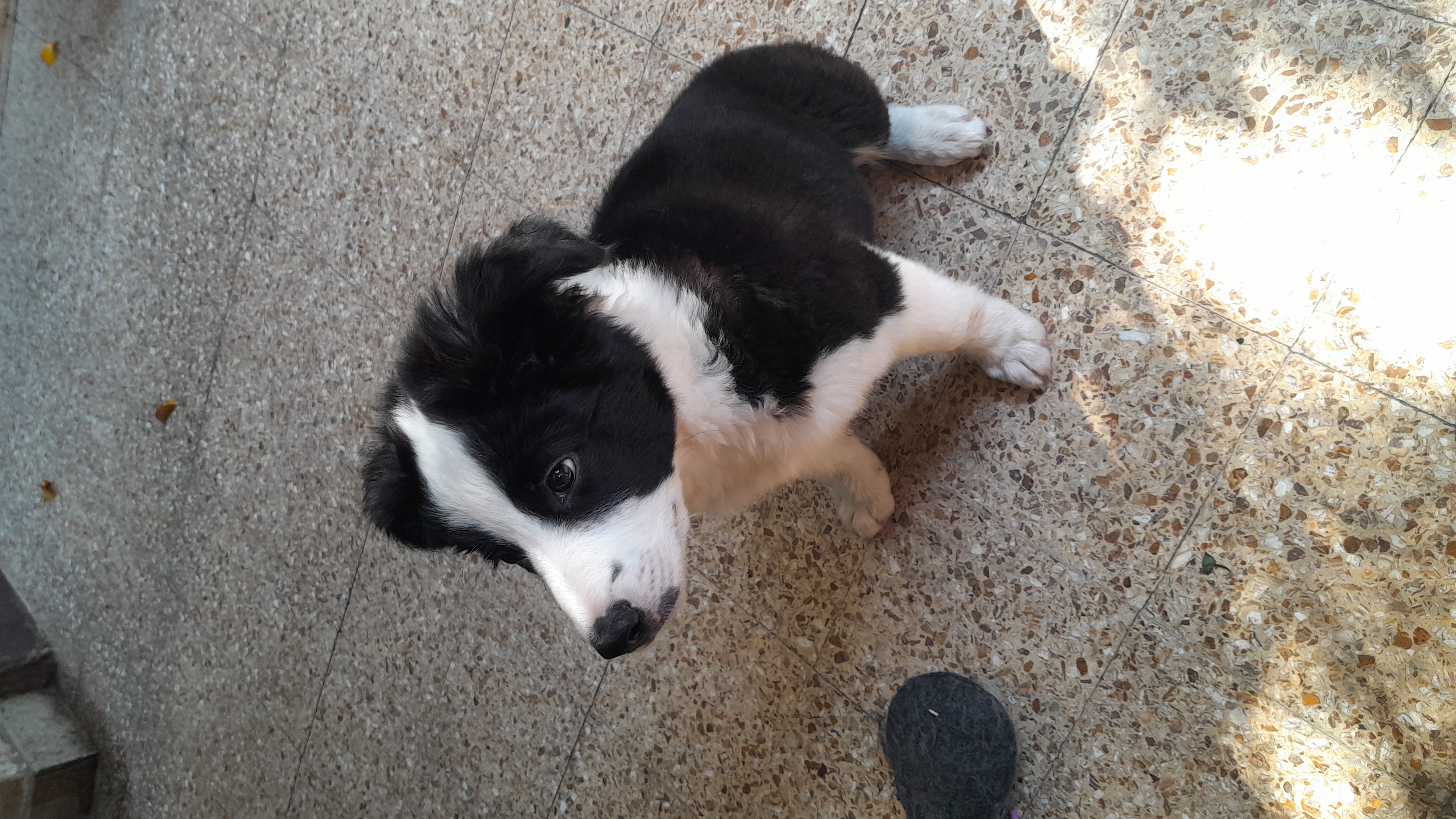 IMG-20230109-WA0009.jpeg