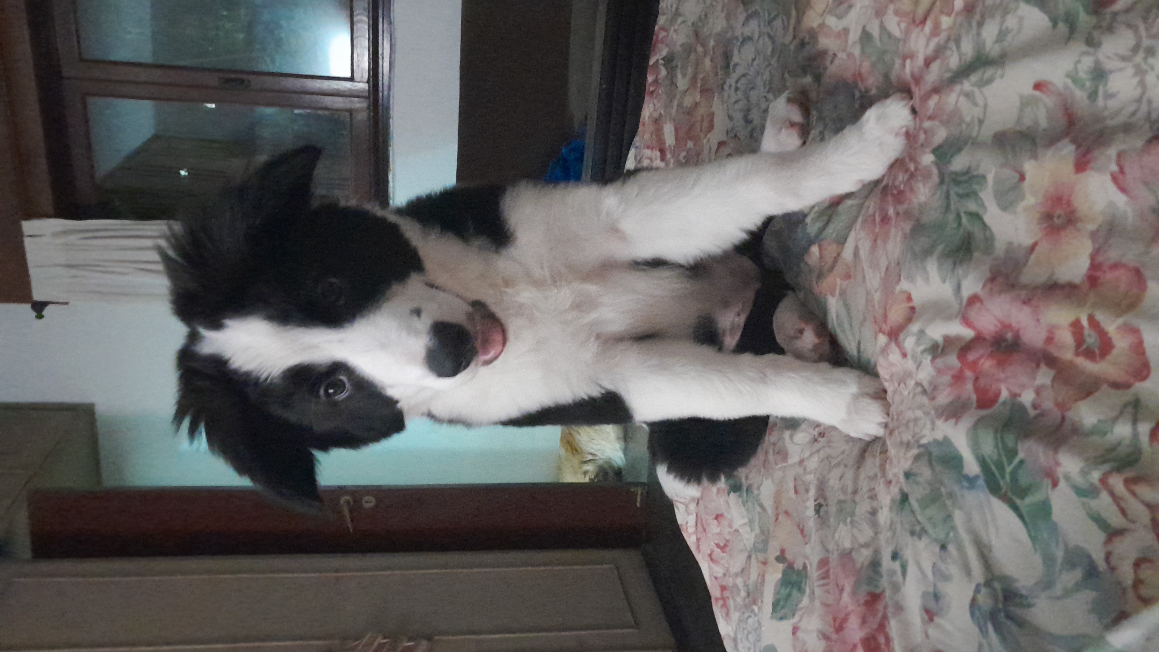 IMG-20230123-WA0043.jpeg