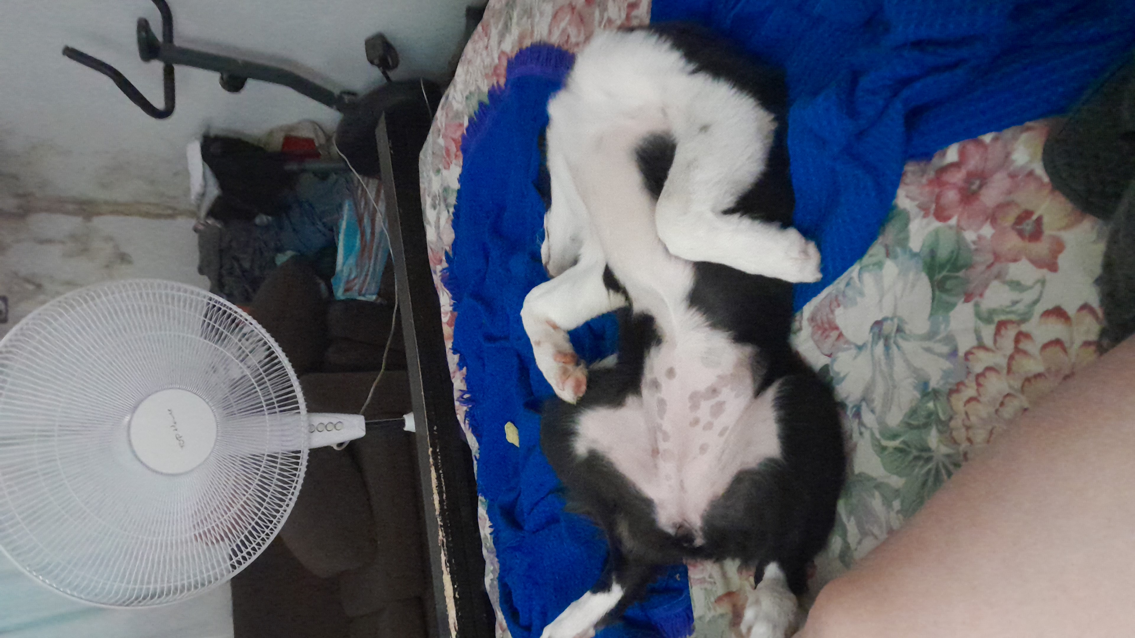 IMG-20230301-WA0201.jpeg
