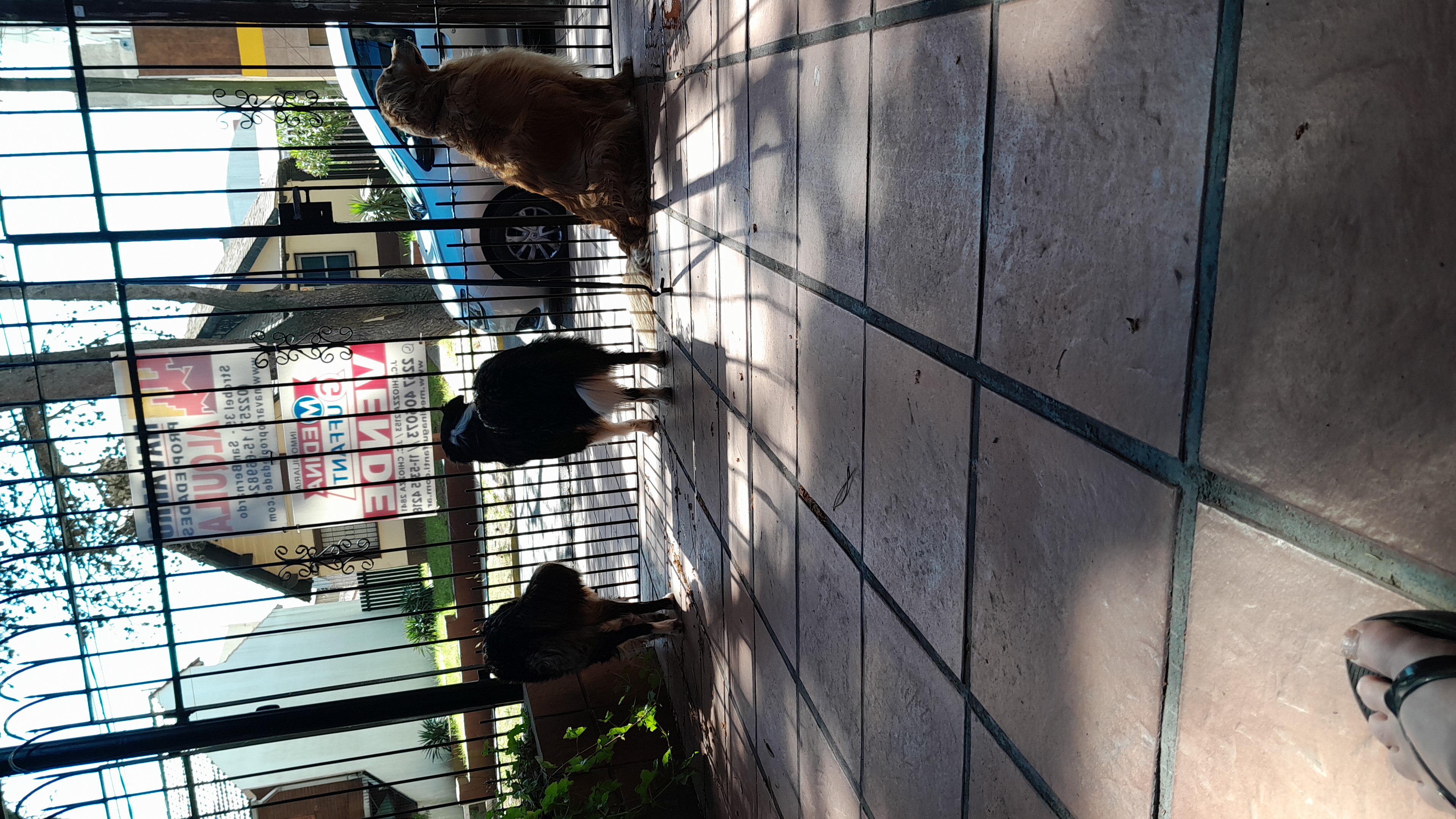 IMG-20231110-WA0014.jpeg