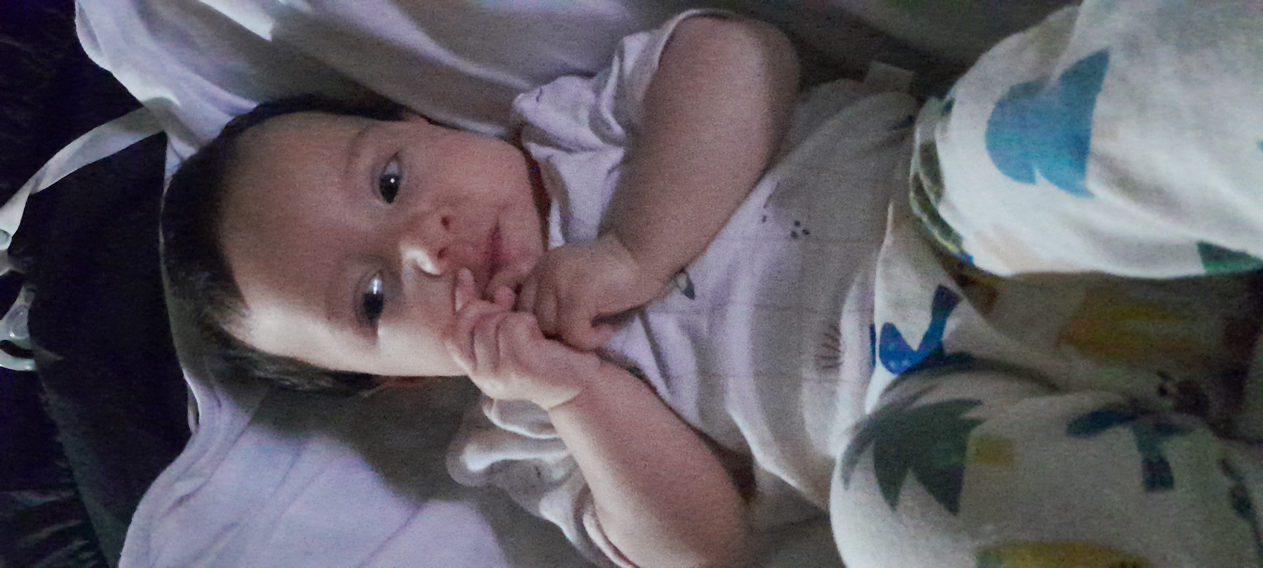 20241101_065137.jpg
