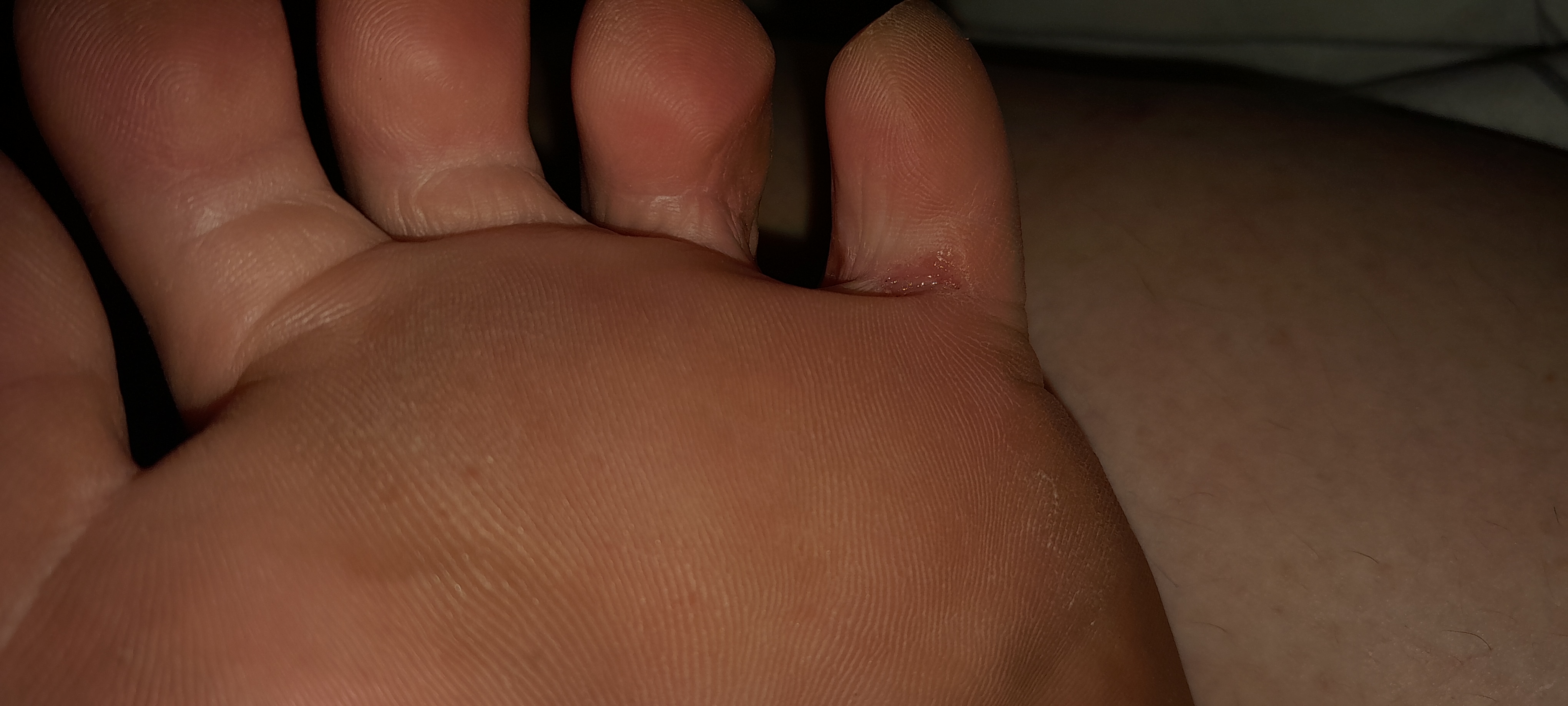 20241101_234242.jpg
