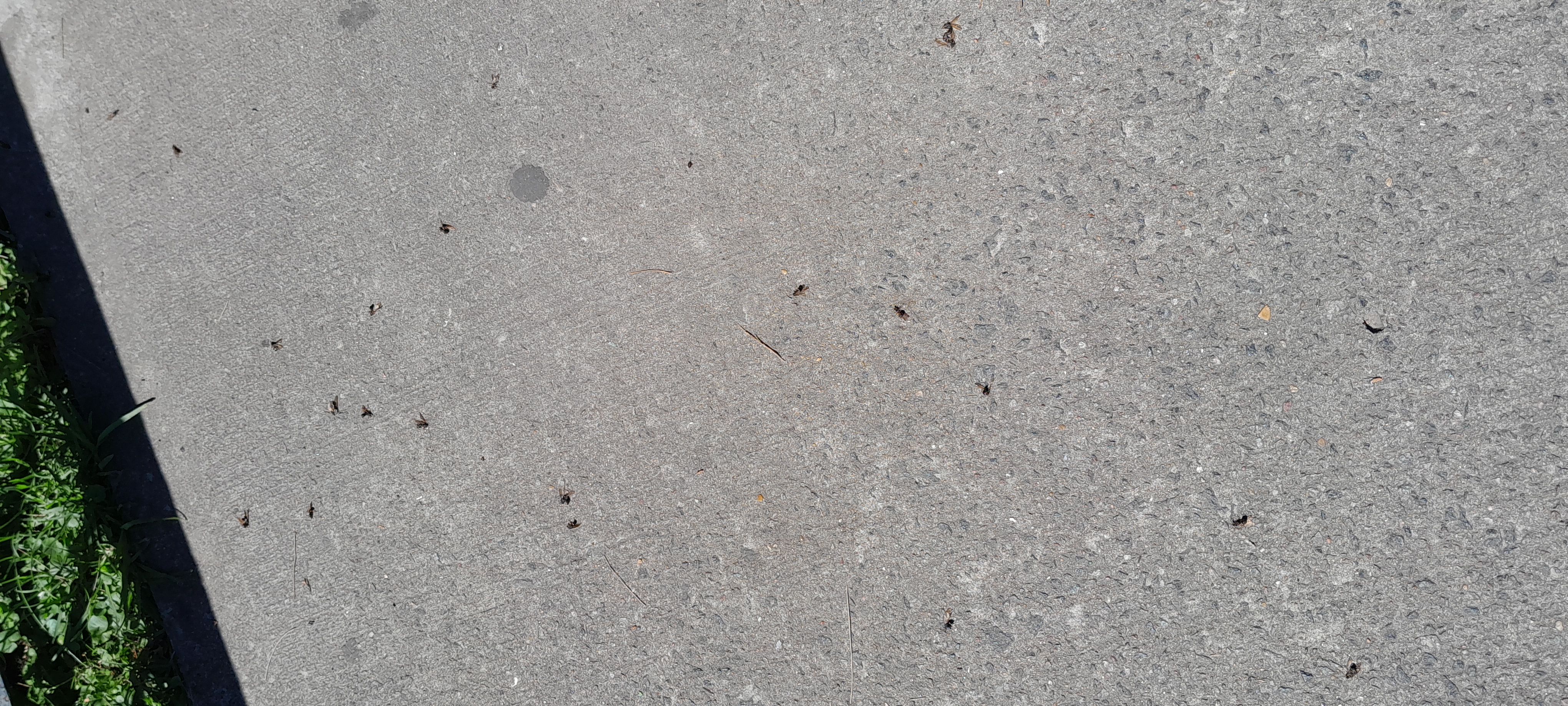 20241105_104752.jpg