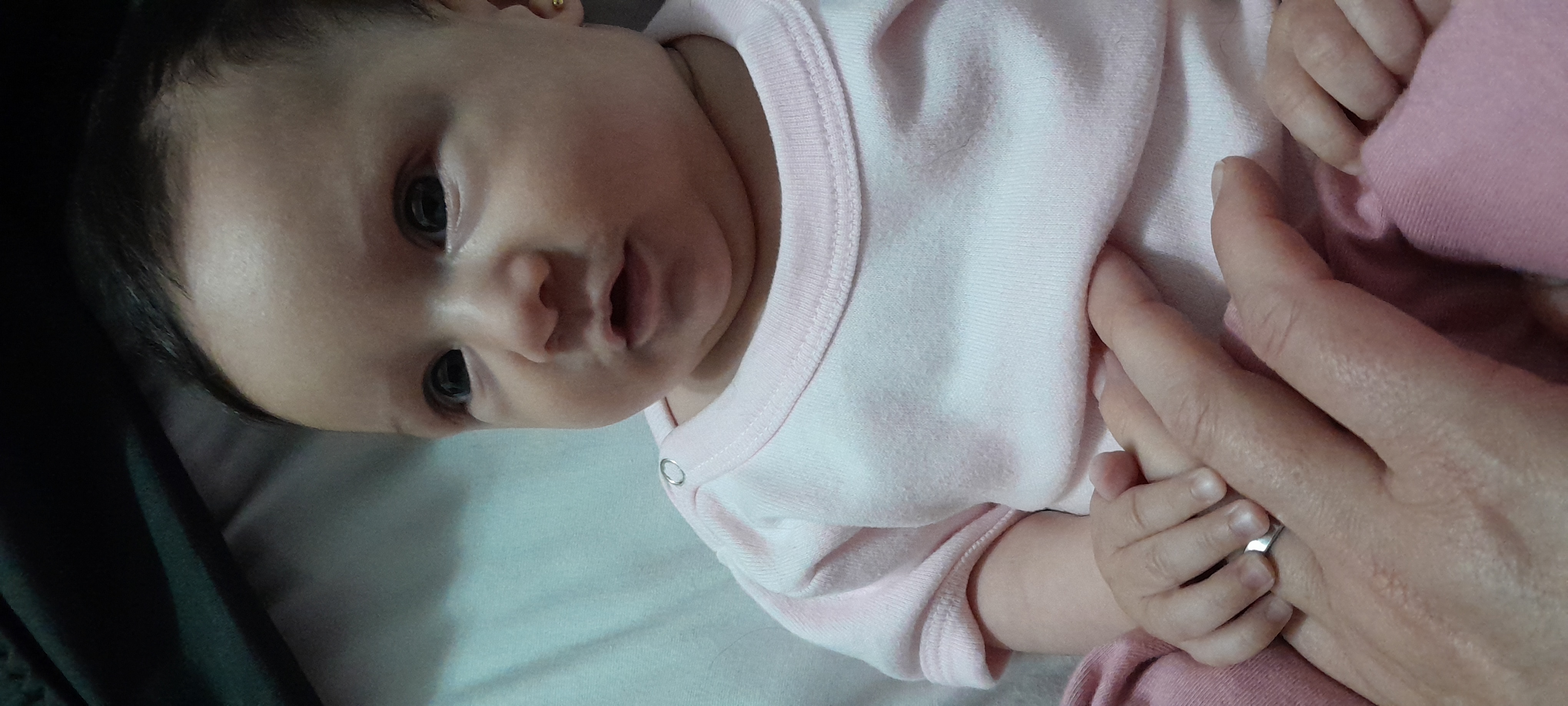 20241106_071144.jpg
