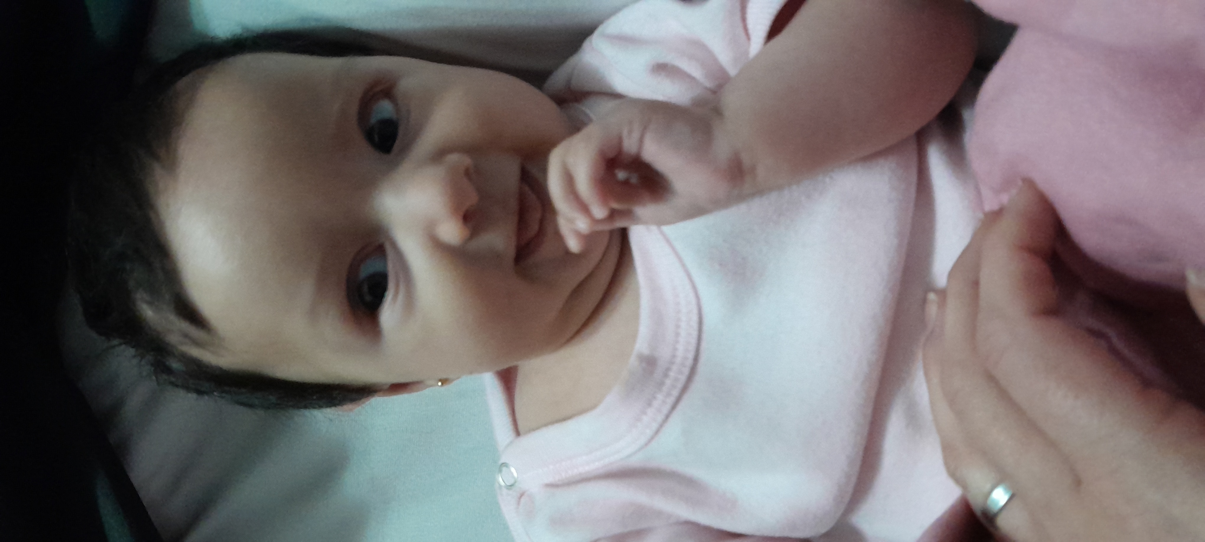 20241106_071156.jpg
