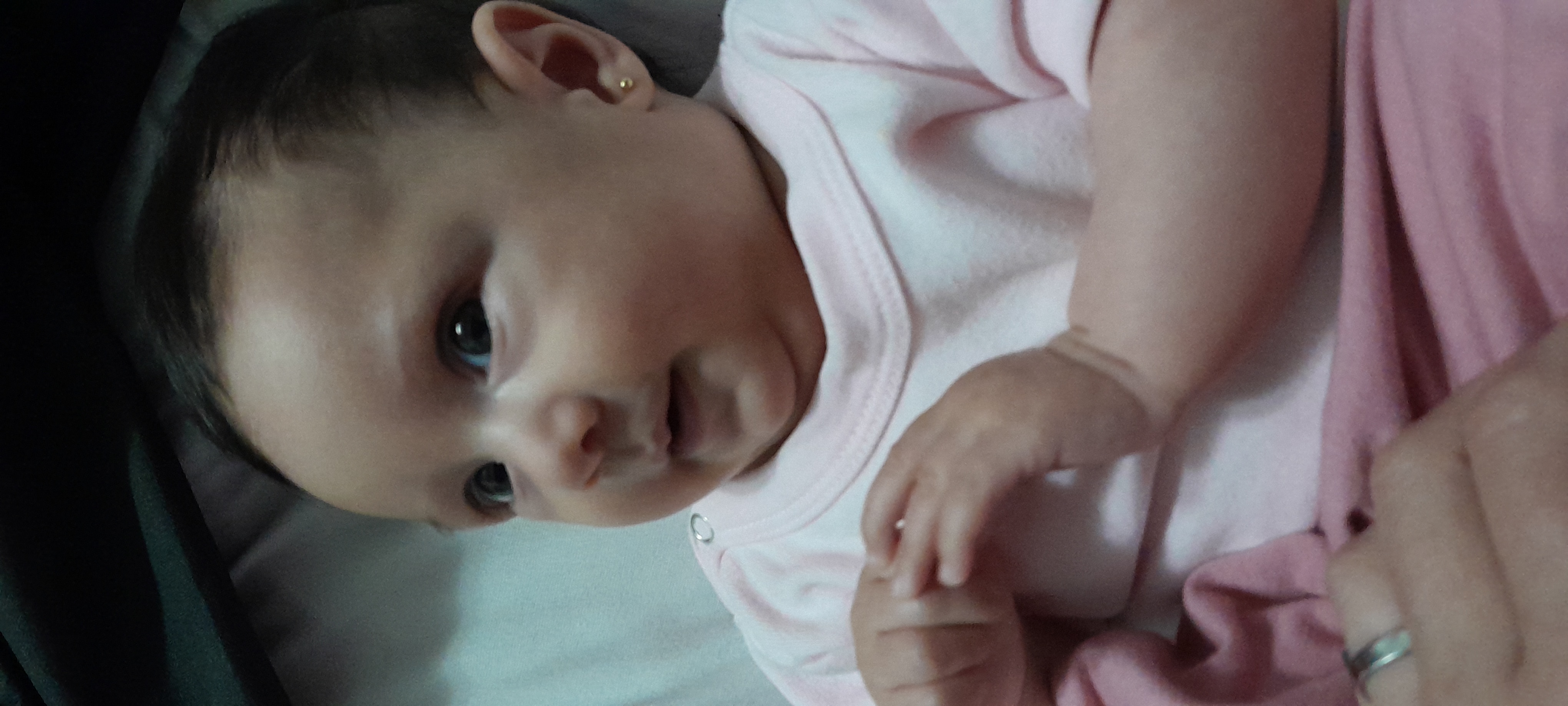 20241106_071233.jpg
