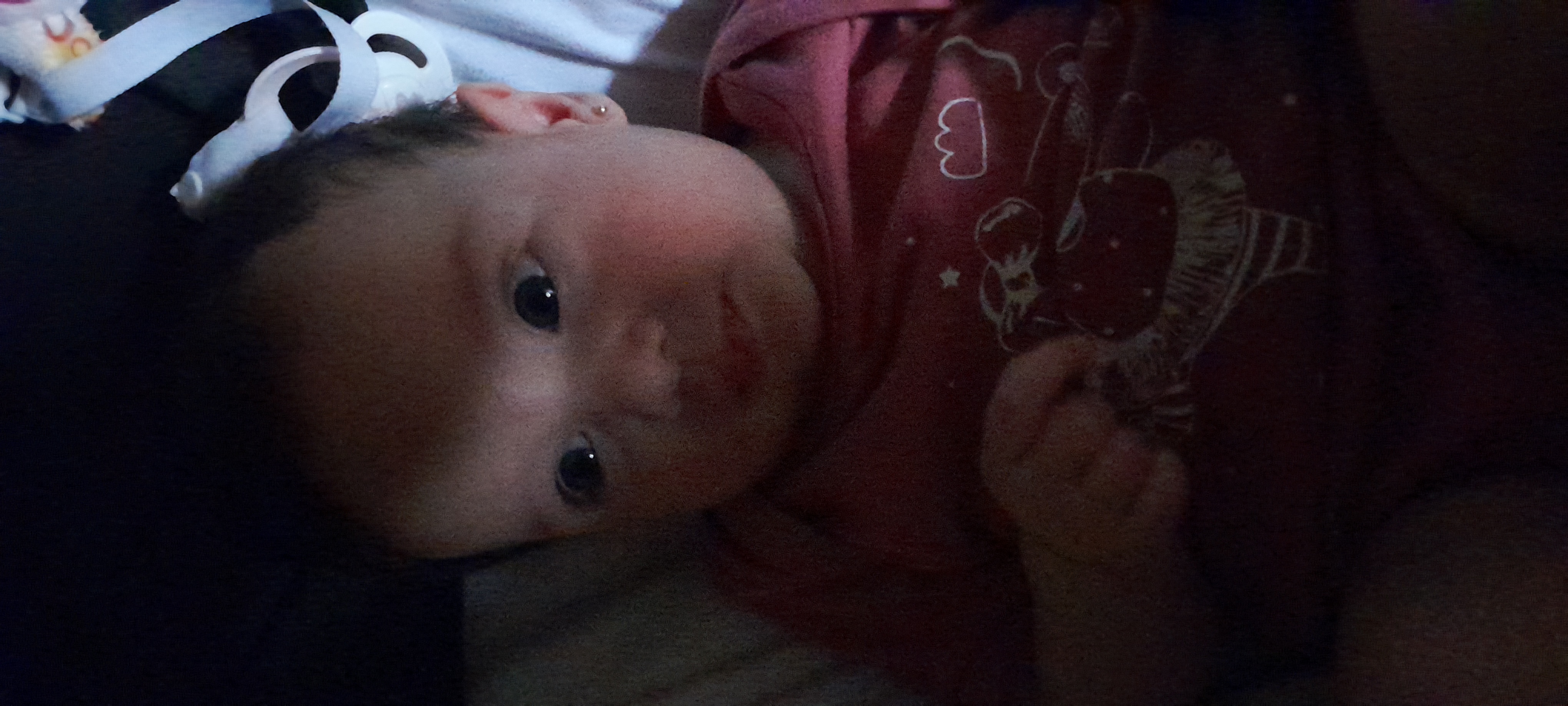 20241107_090053.jpg