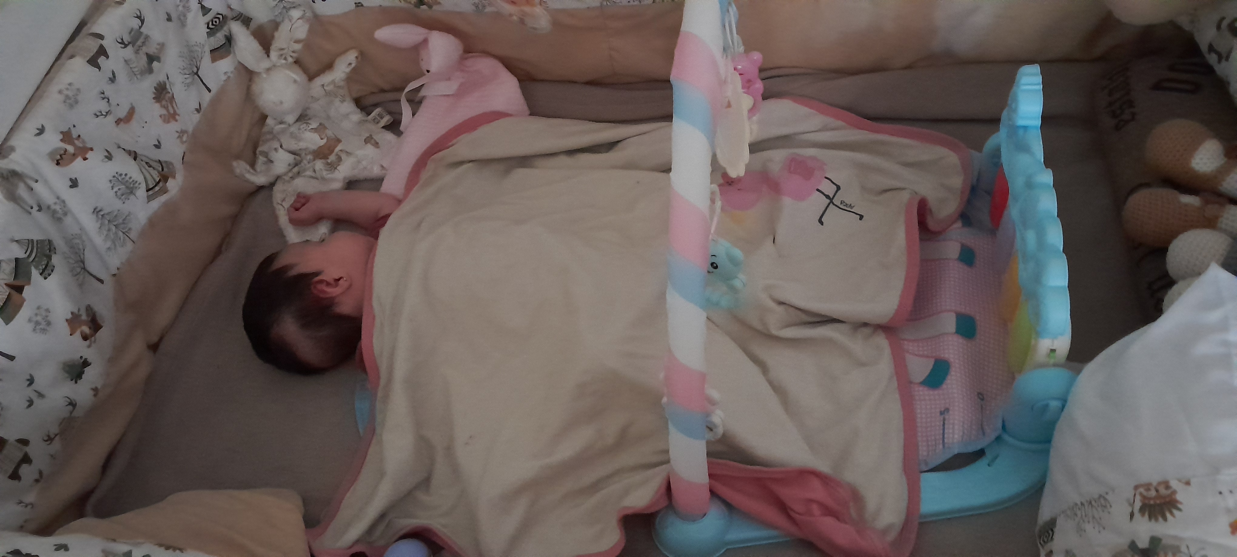 20241107_120157.jpg