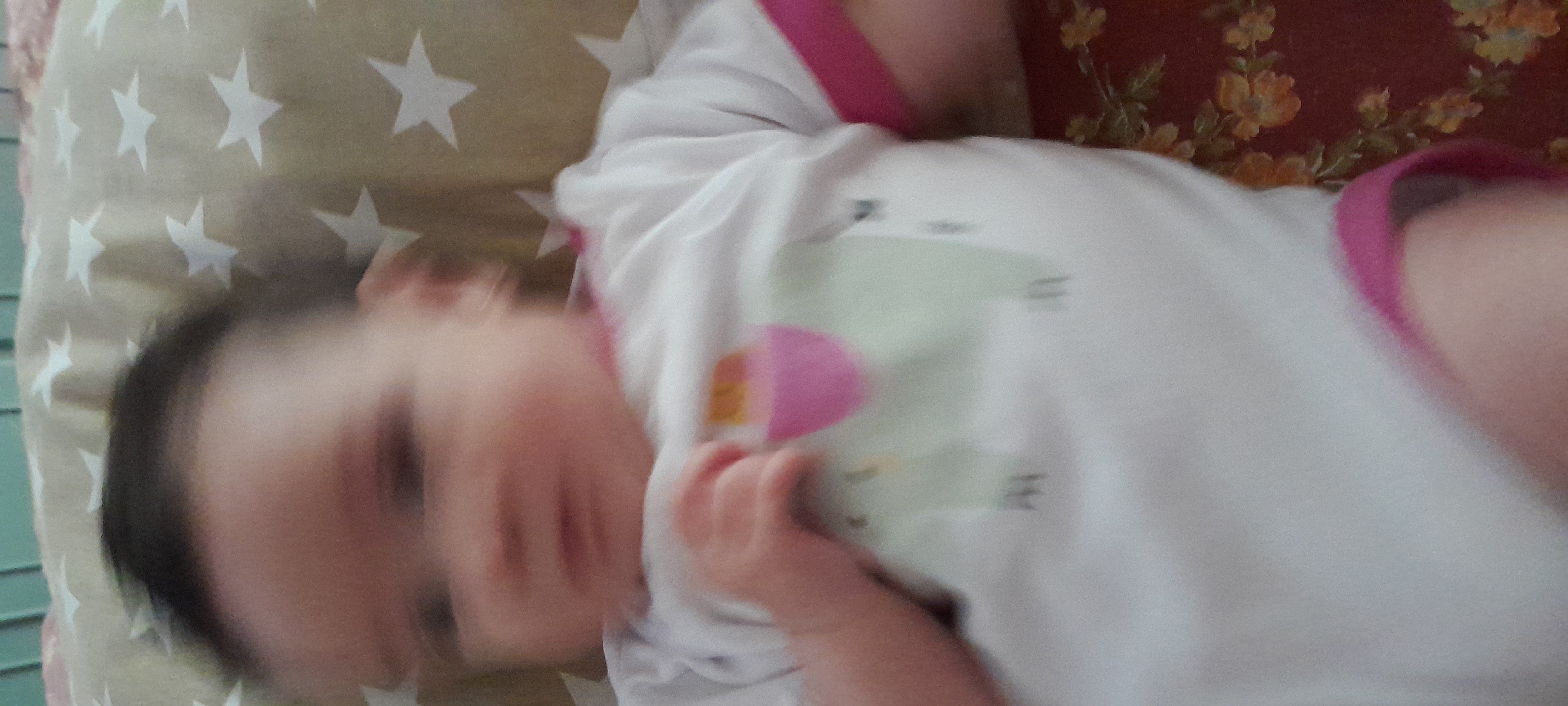 20241108_121359.jpg