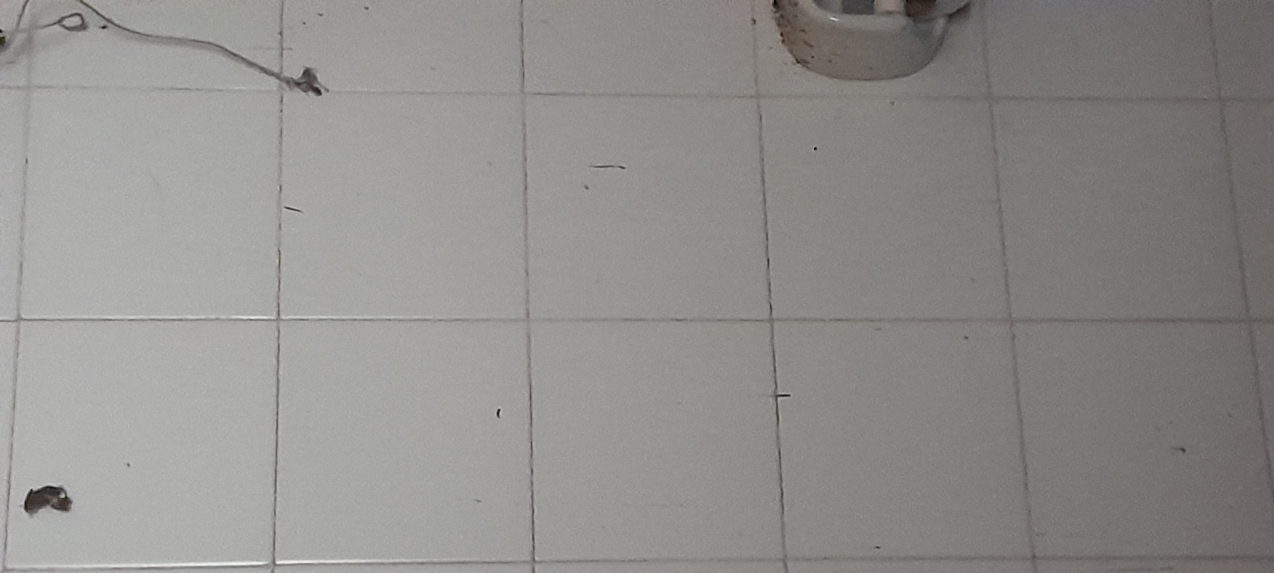 20241110_125138.jpg