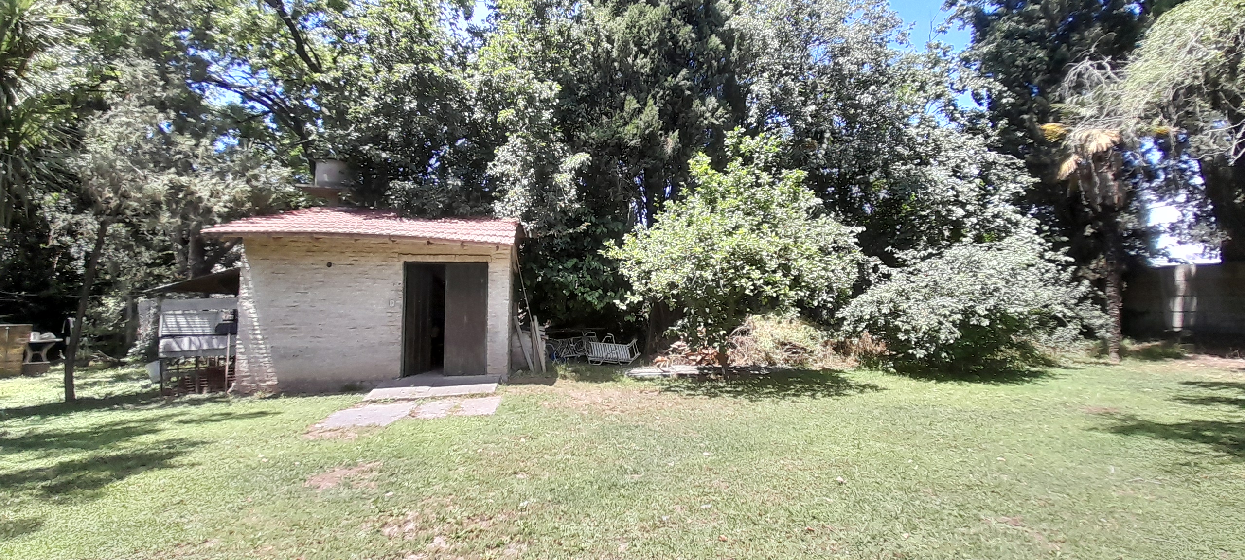20241110_125236.jpg