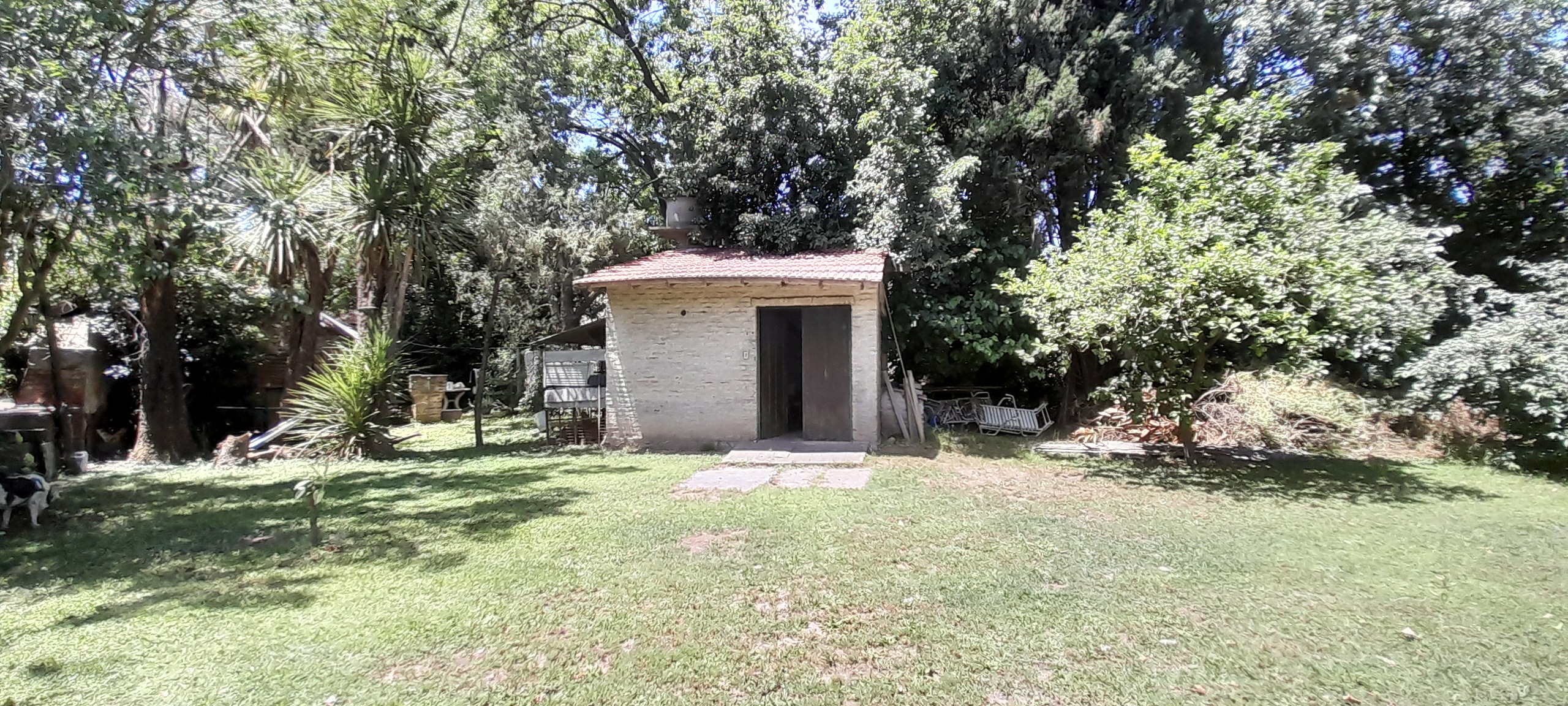 20241110_125238.jpg