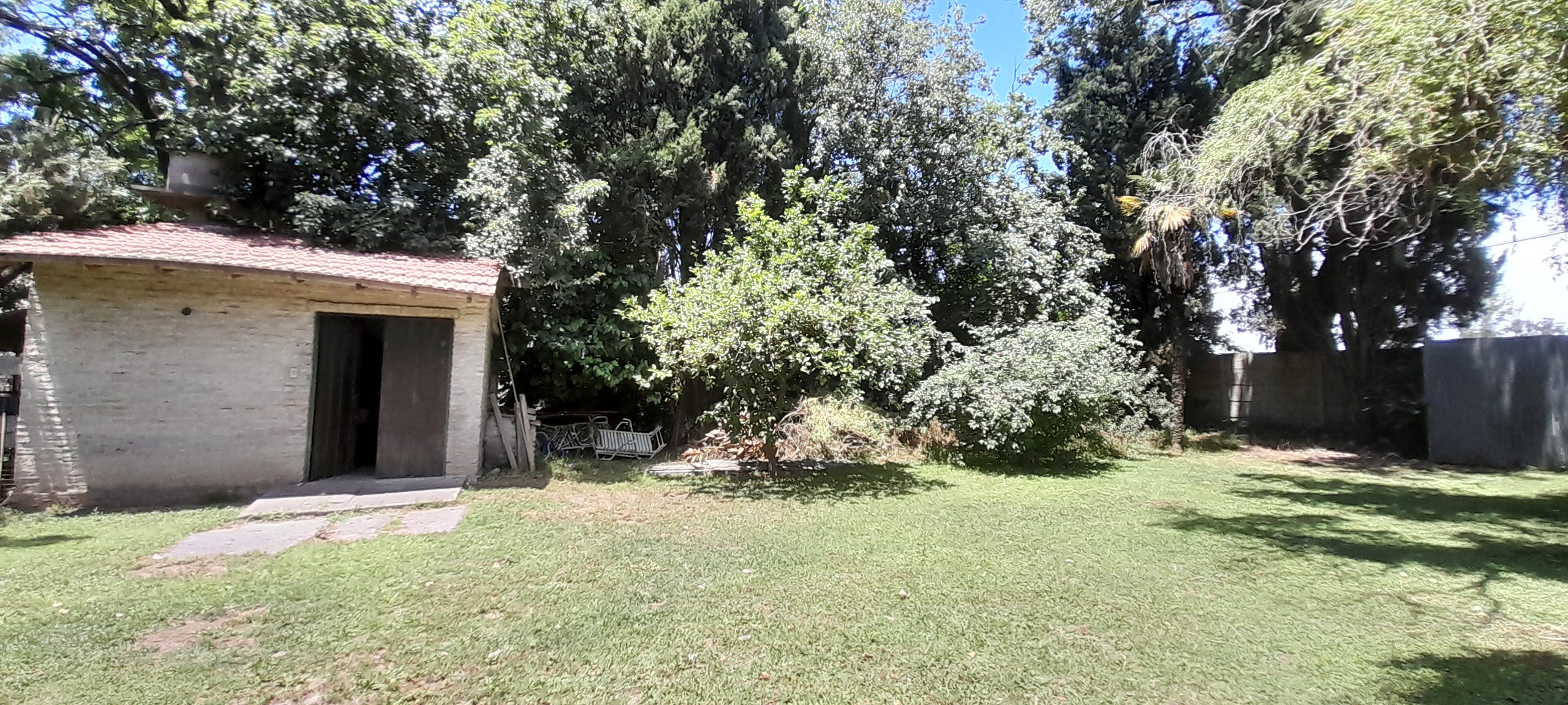 20241110_125241.jpg