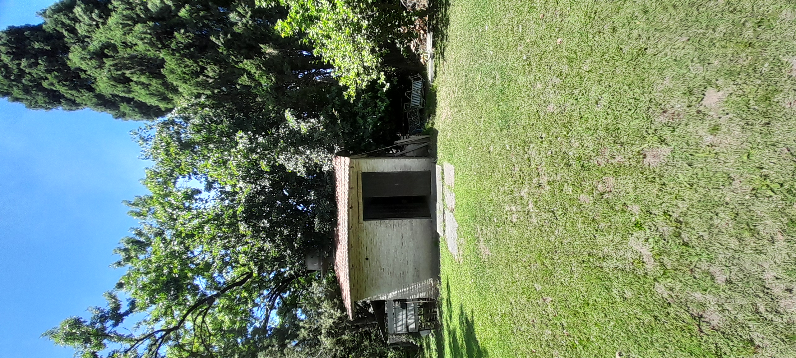20241110_125246.jpg