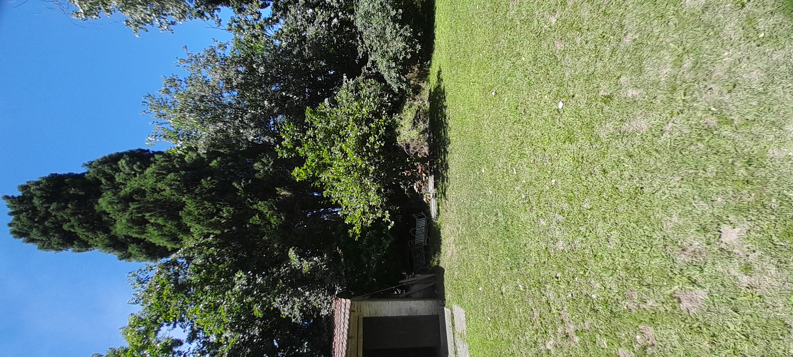 20241110_125247.jpg