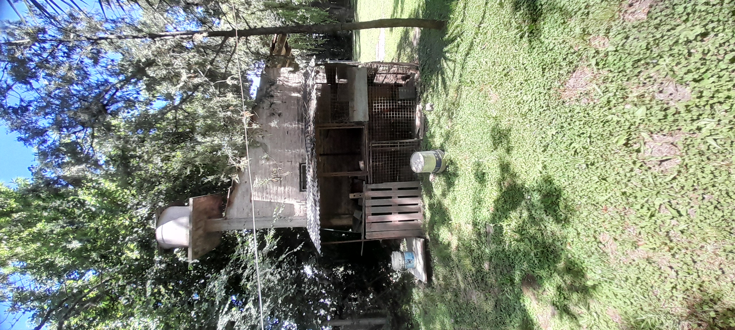 20241110_125309.jpg