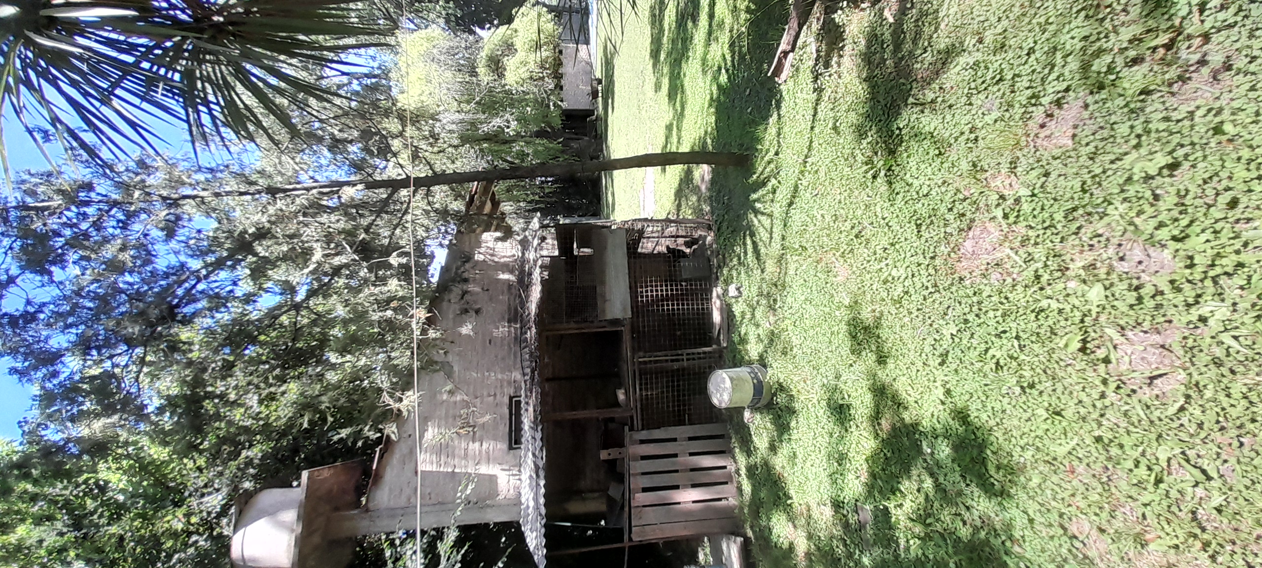20241110_125313.jpg