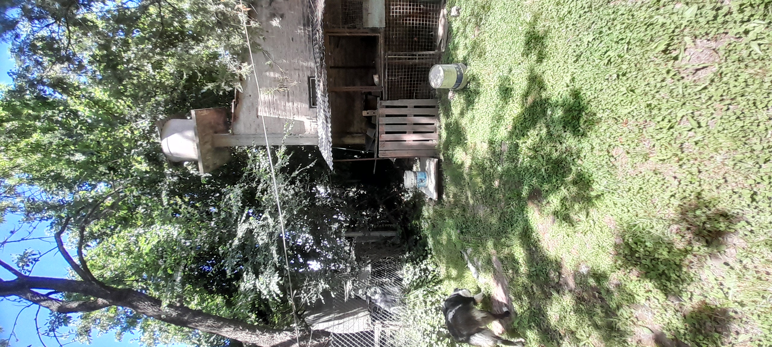 20241110_125315.jpg