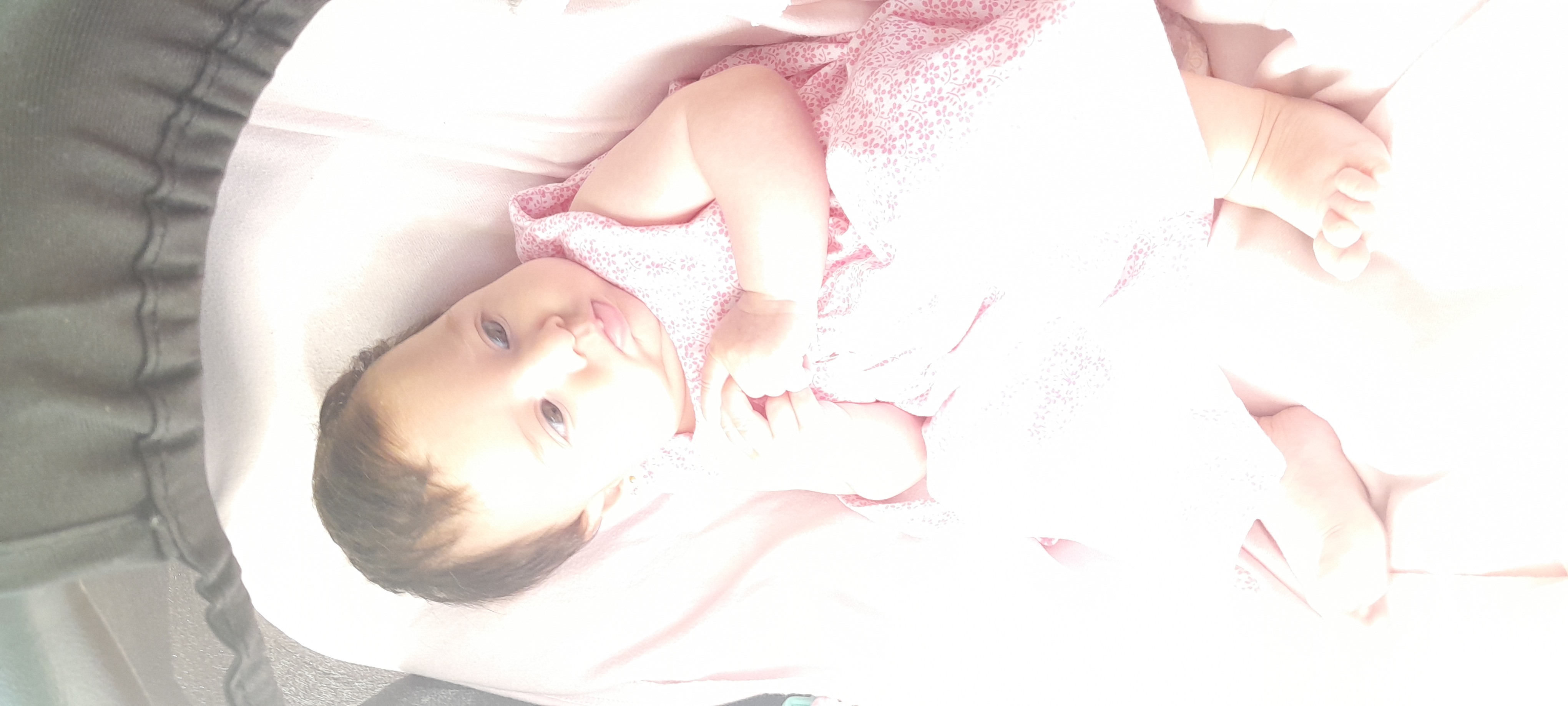 20241115_110904.jpg