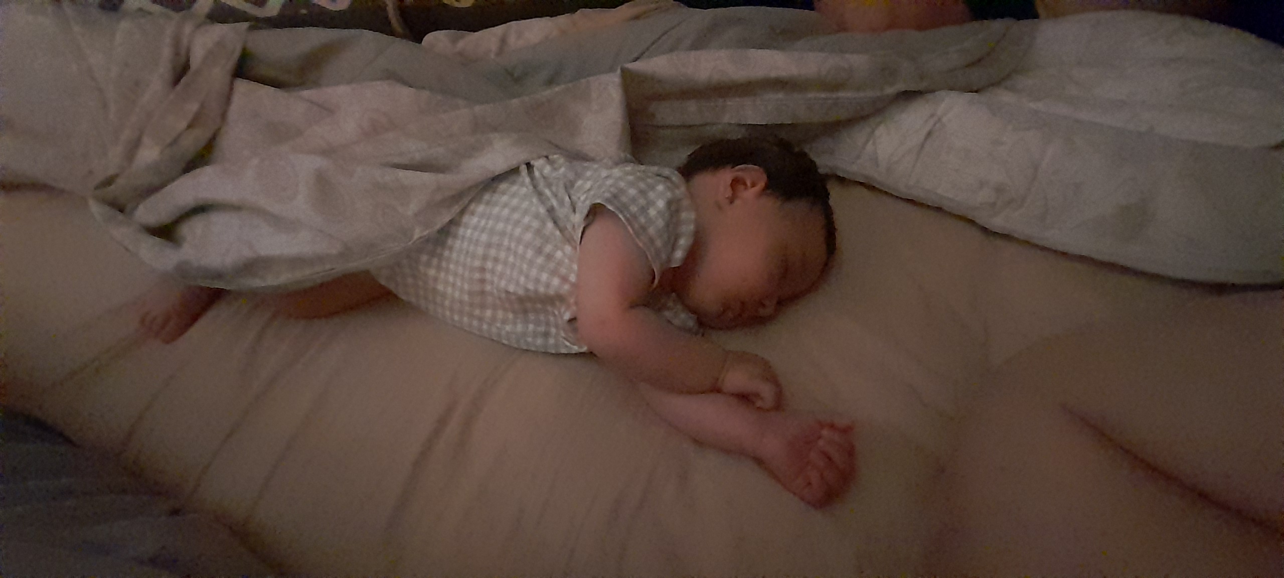 20241123_002049.jpg