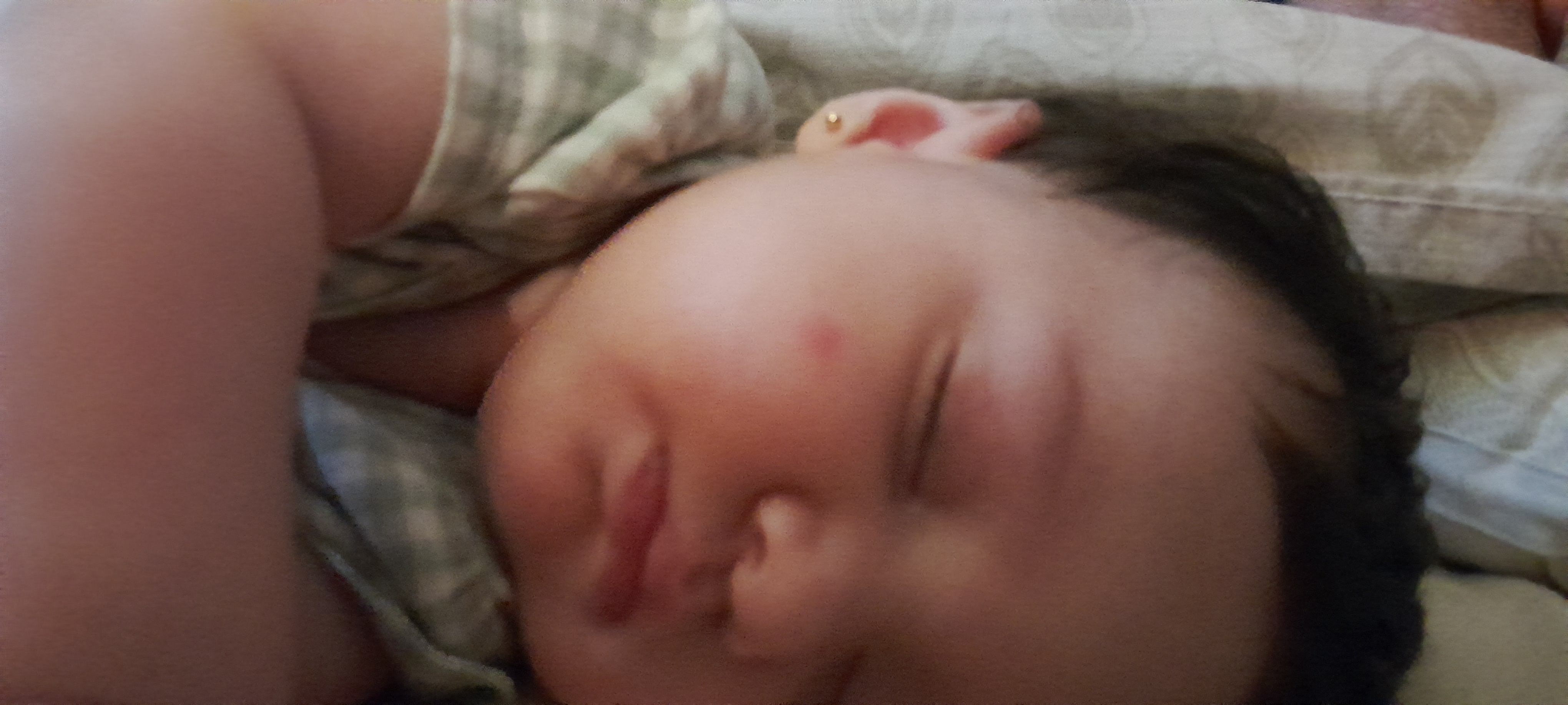20241123_005223.jpg