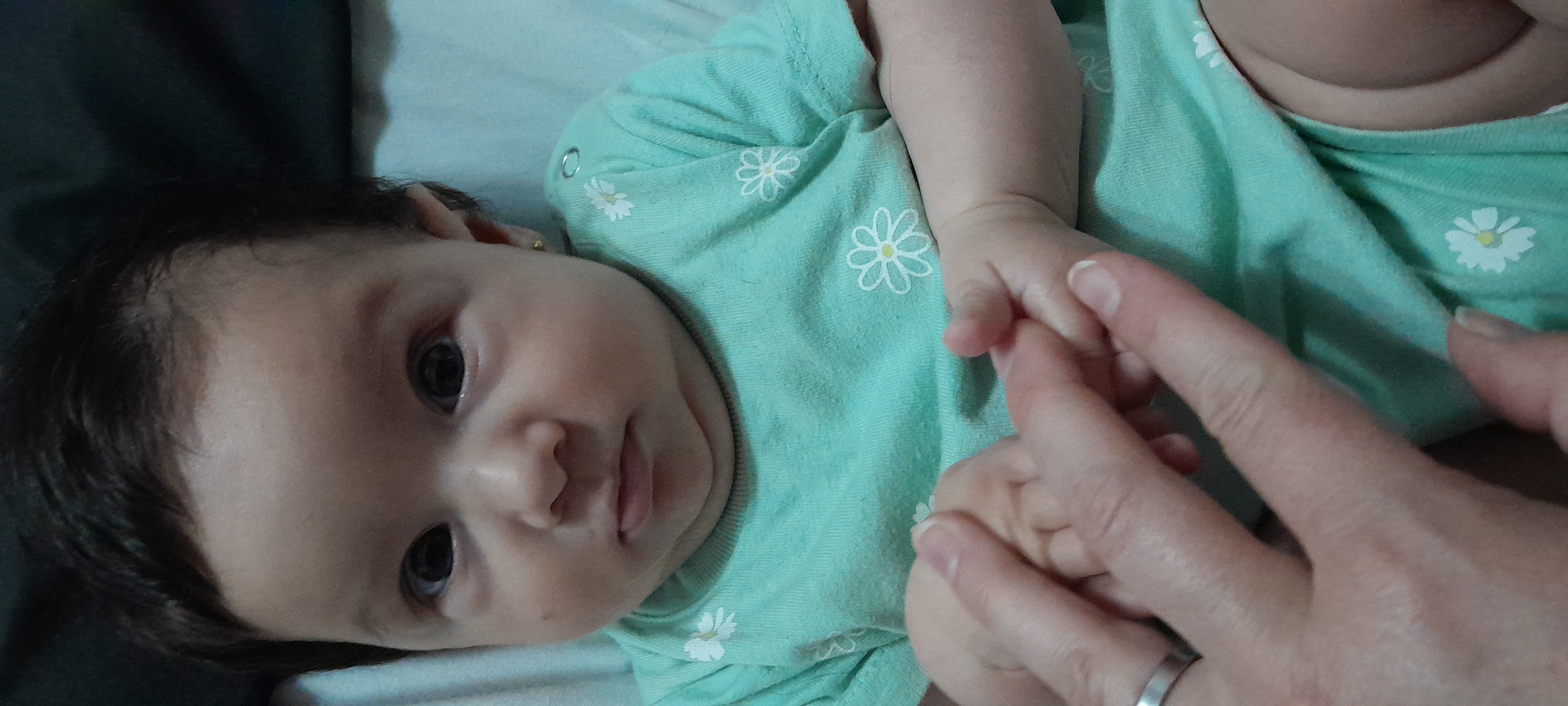 20241126_110156.jpg