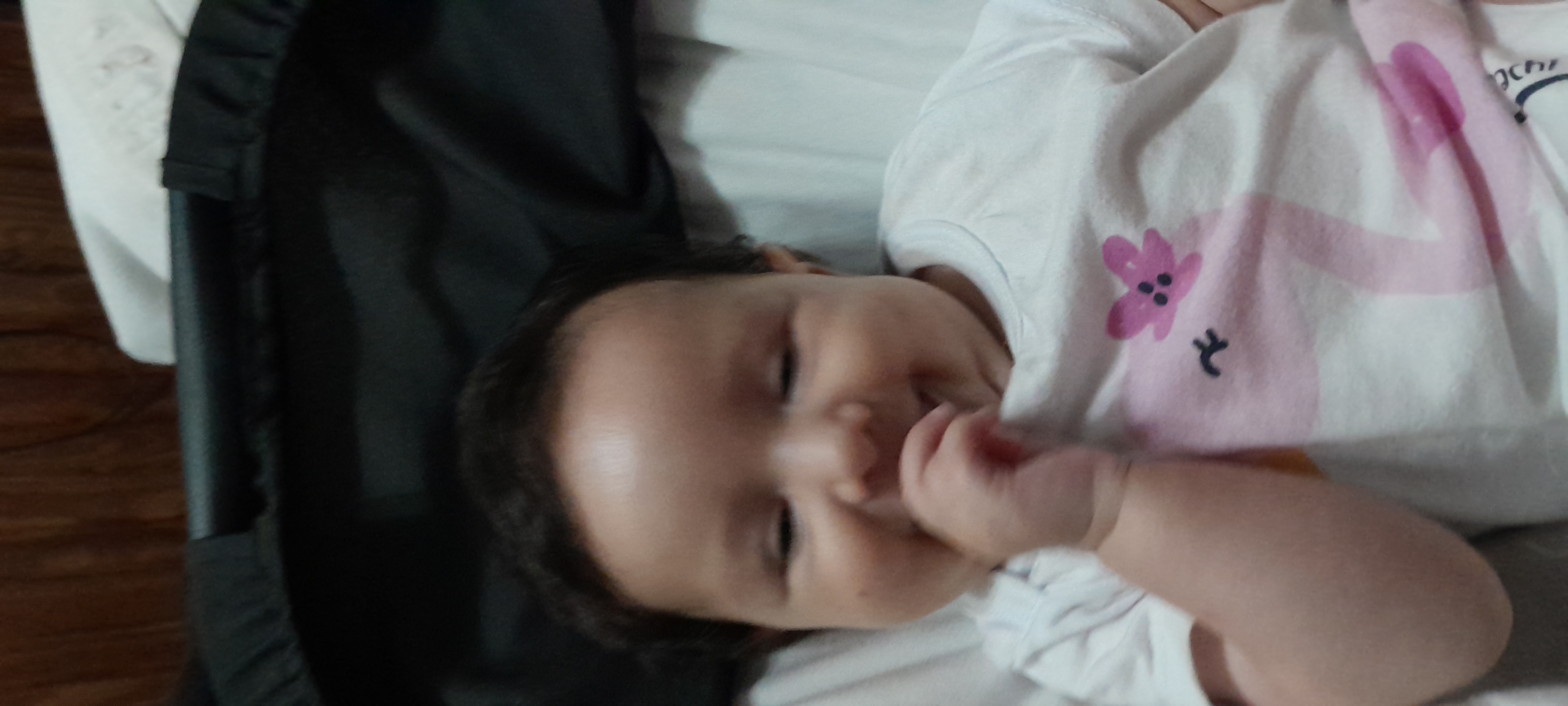 20241127_110718.jpg