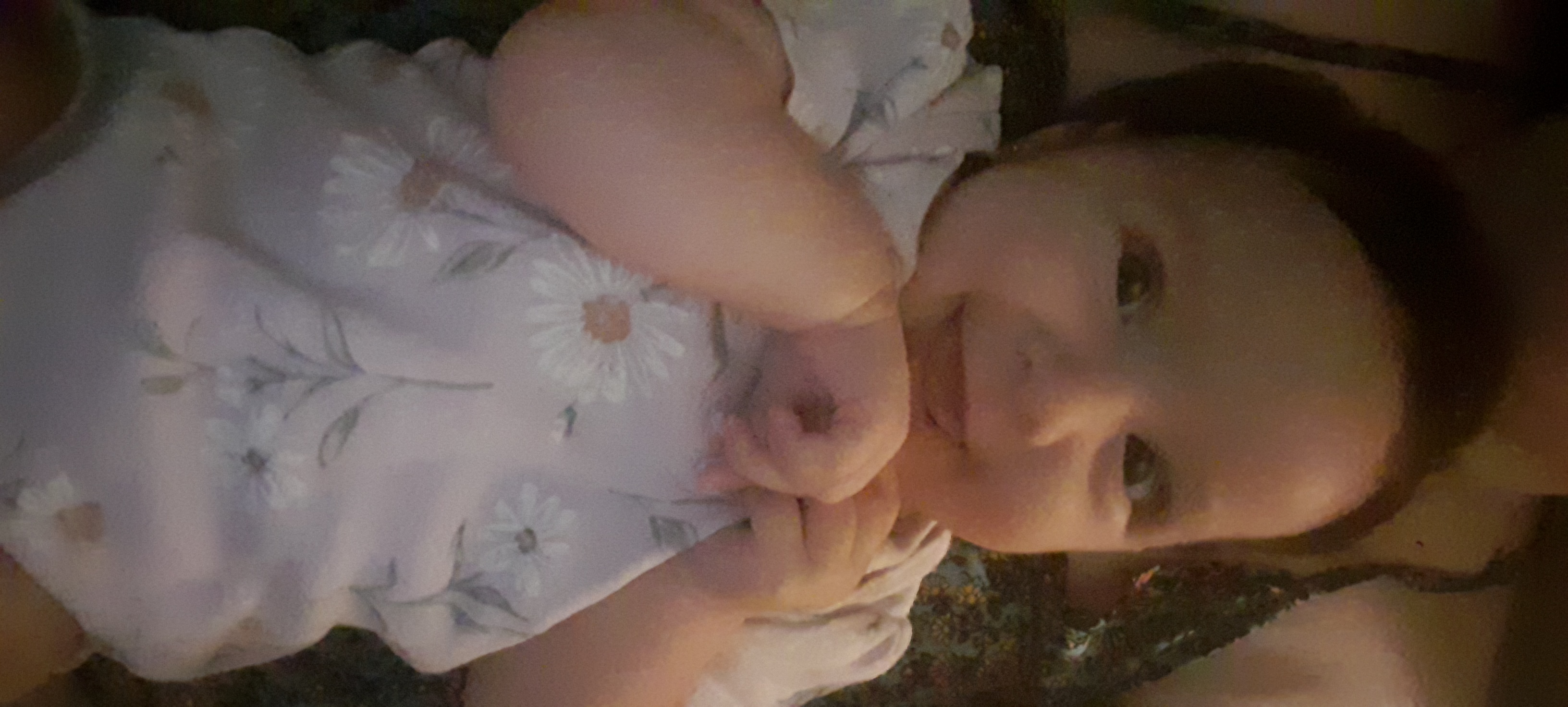 20241128_083427.jpg