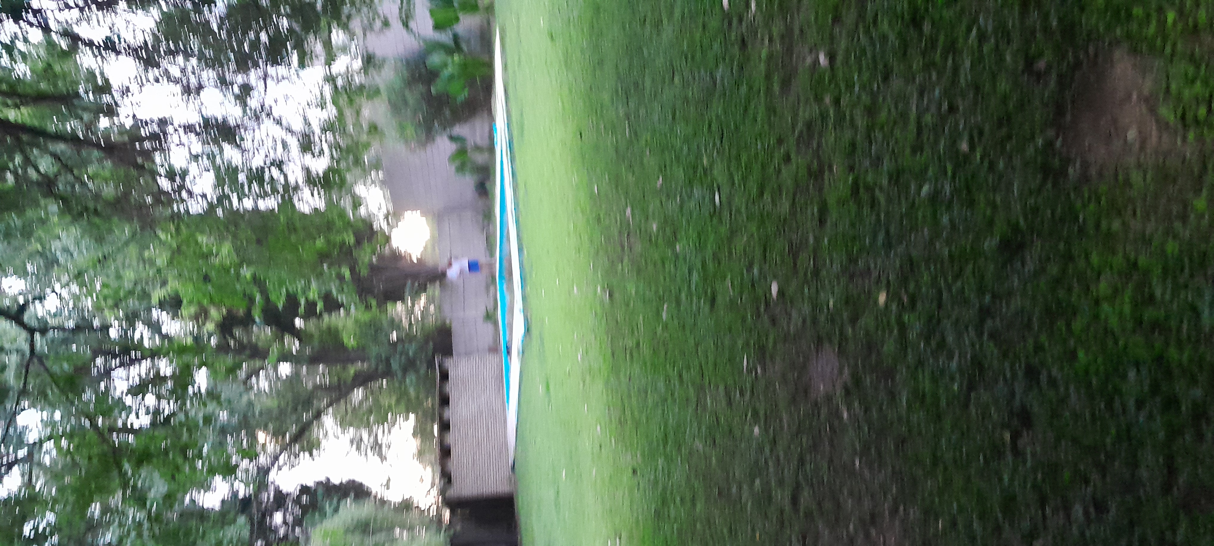20241130_200042.jpg