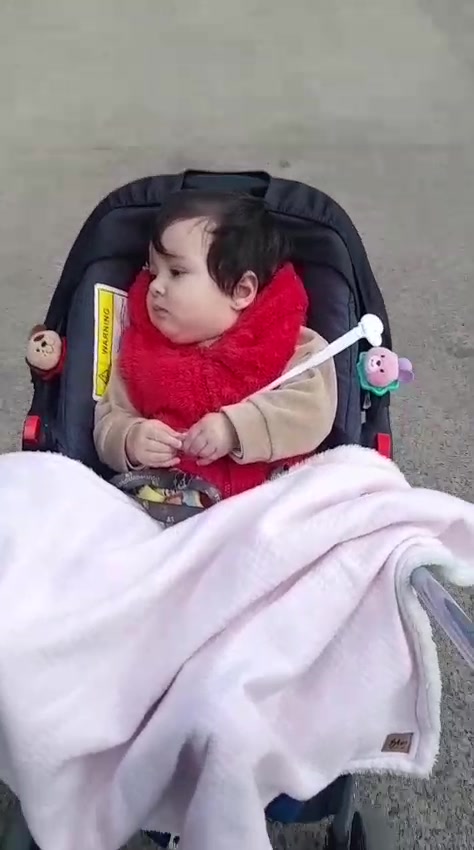 WhatsApp Video 2025-05-22 at 13.11.14.mp4.jpg