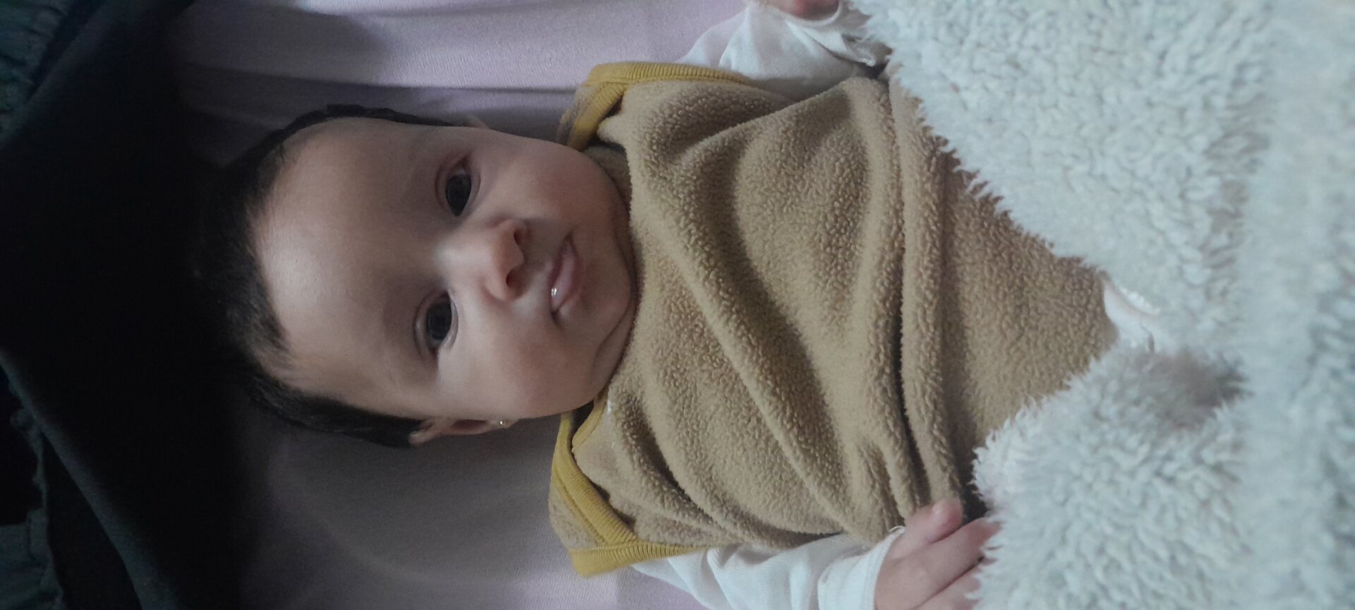 CH_20241025_064232.jpg