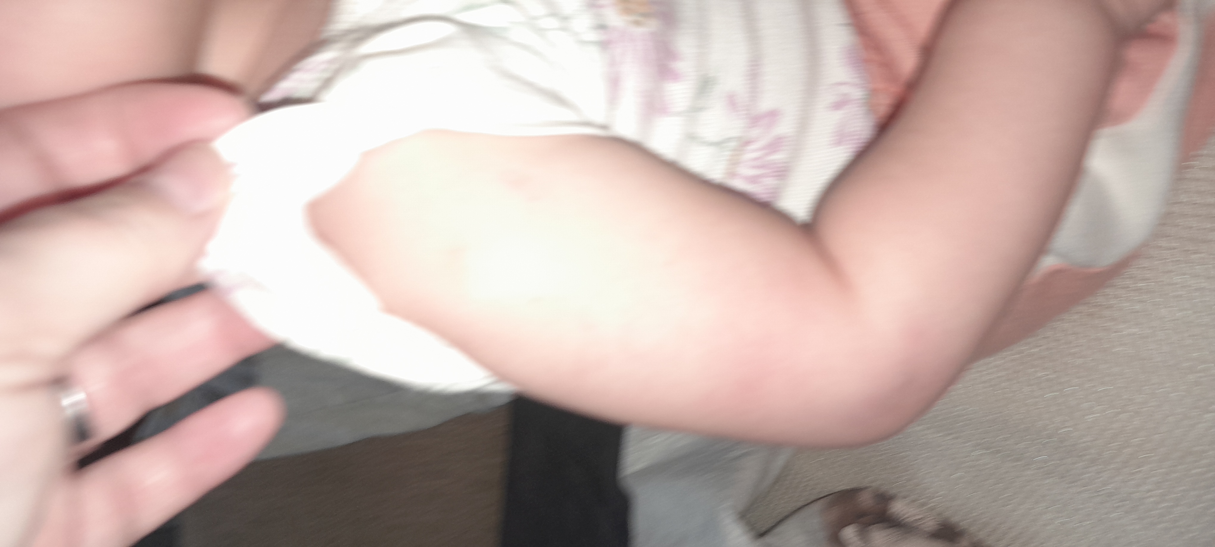 20250814_101731.jpg