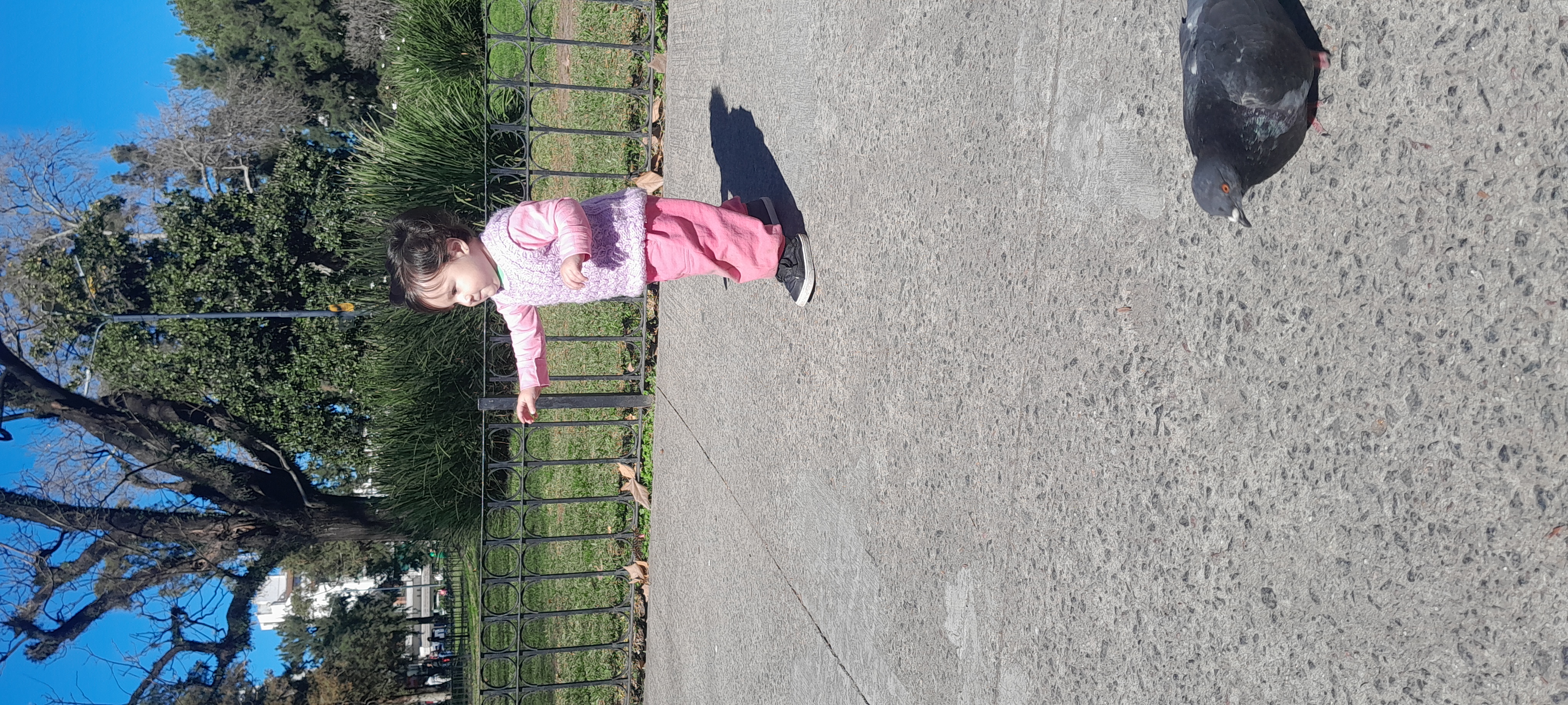 20250826_113735.jpg