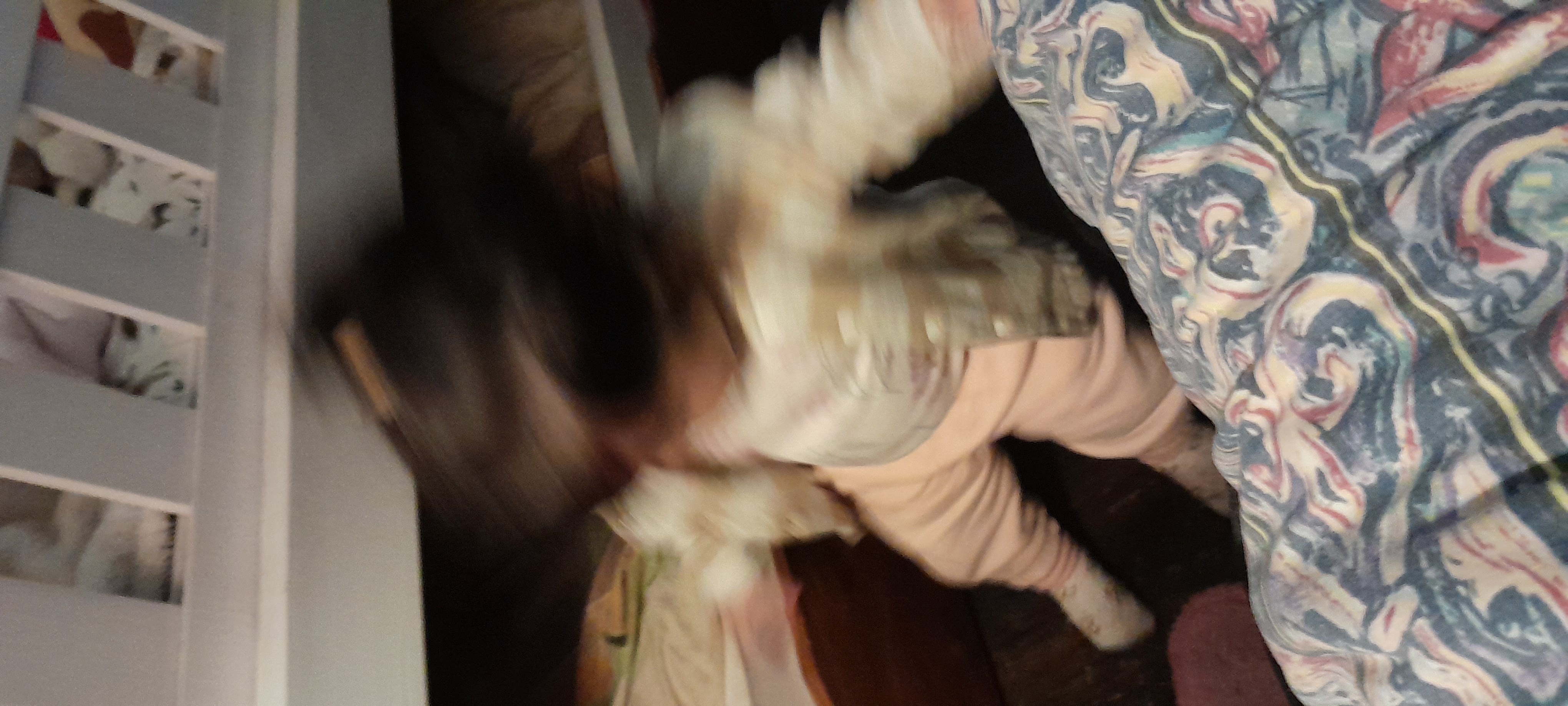20250827_205938.jpg
