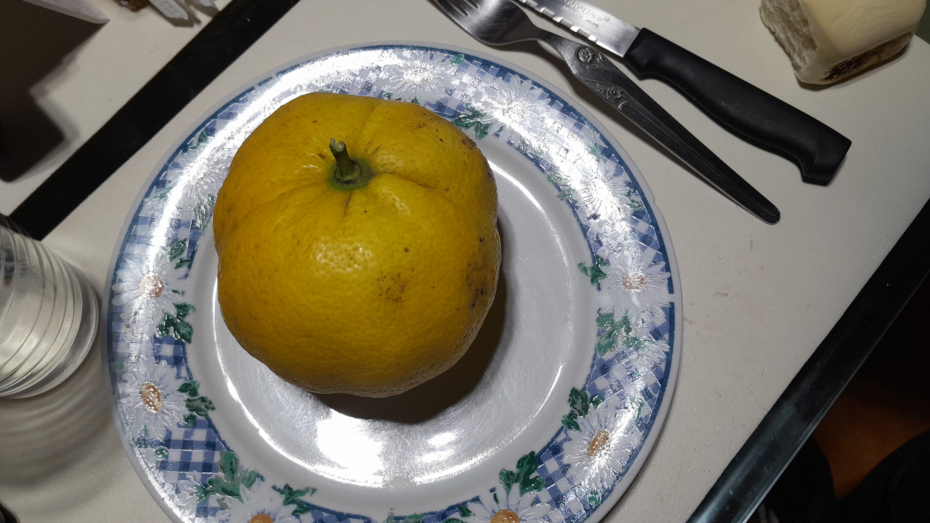 IMG-20250808-WA0007.jpeg