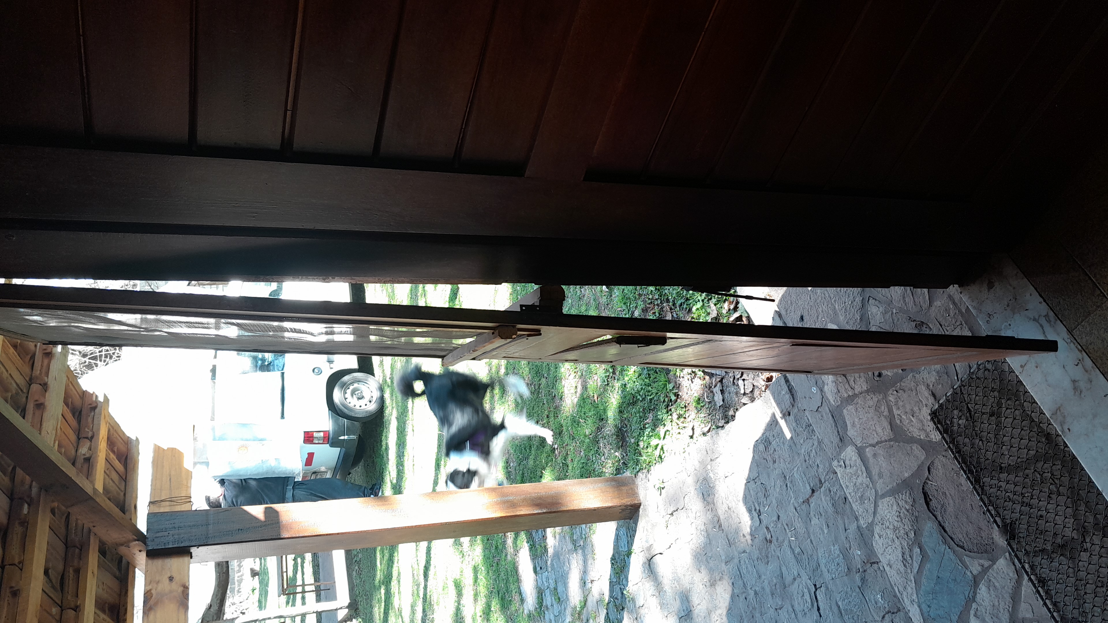 IMG-20250809-WA0028.jpeg