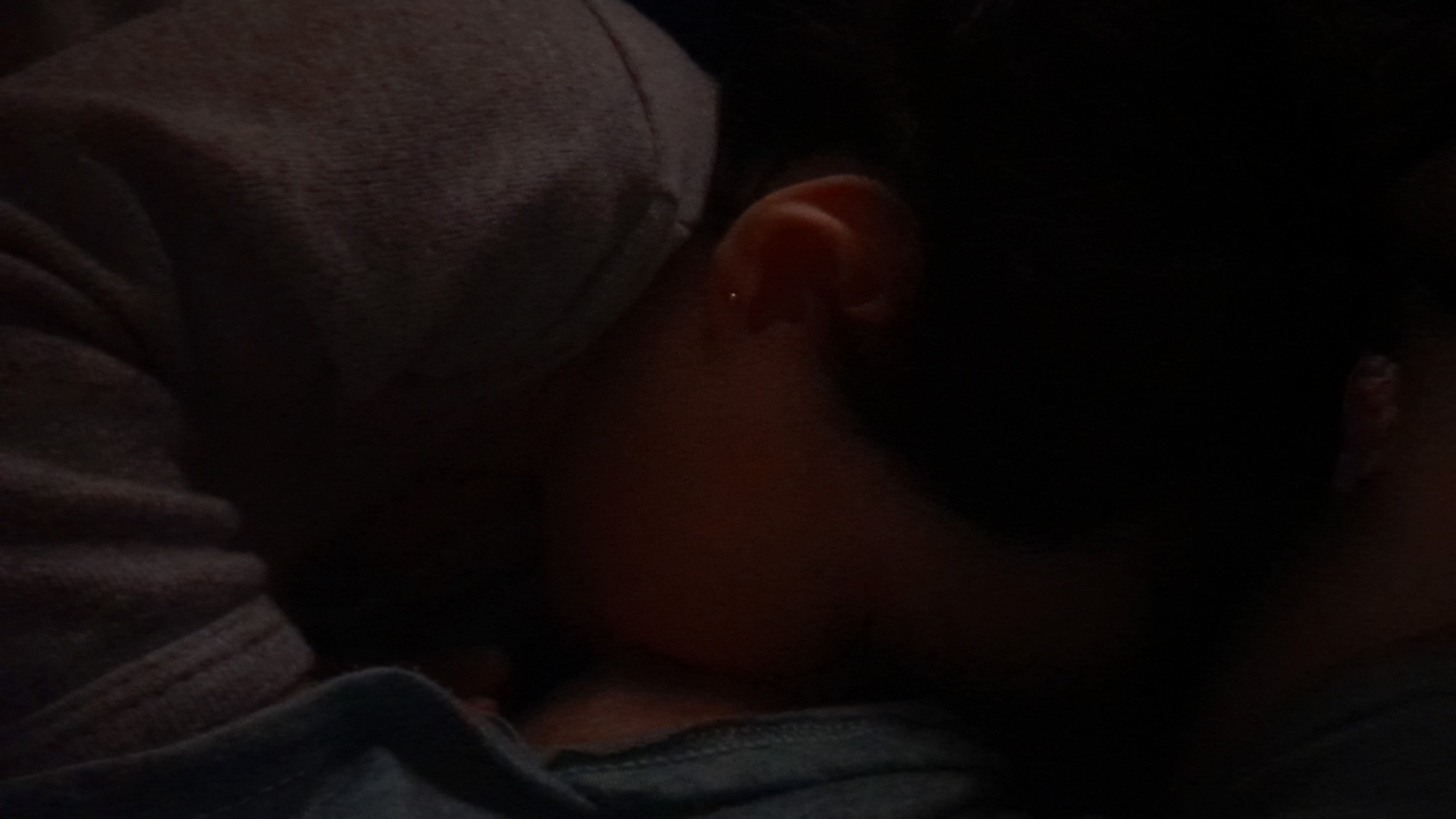IMG-20250822-WA0081.jpeg