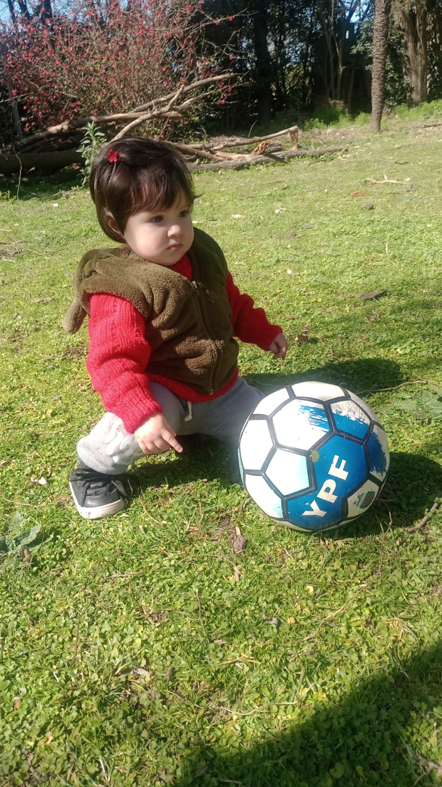 IMG-20250824-WA0014.jpg