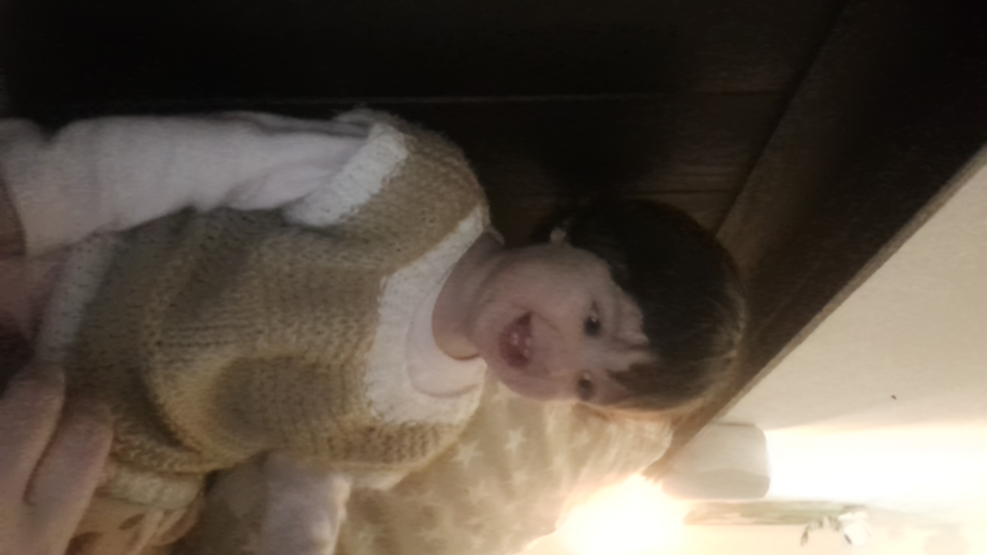 IMG-20250824-WA0064.jpeg