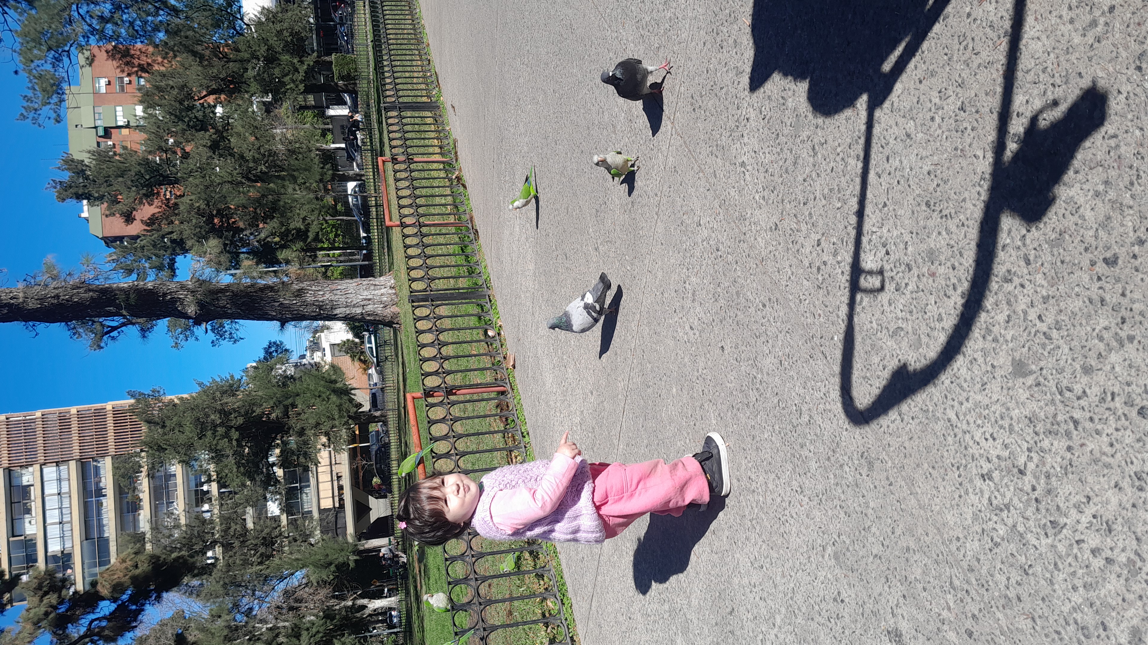 IMG-20250826-WA0022.jpeg