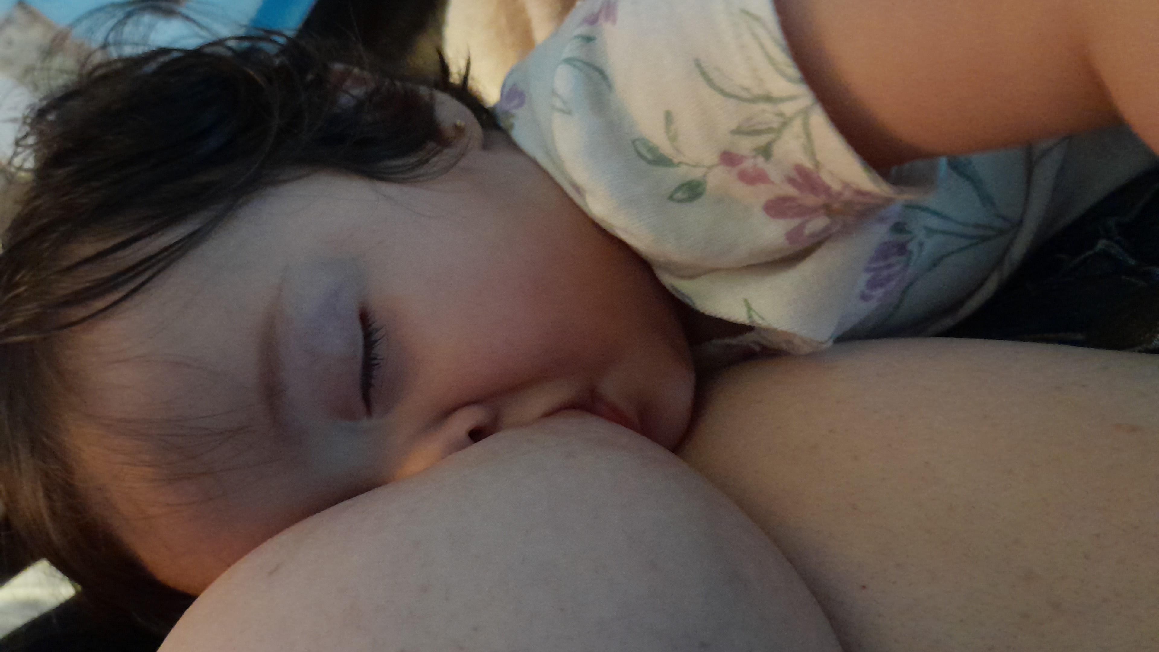 IMG-20250827-WA0023.jpeg