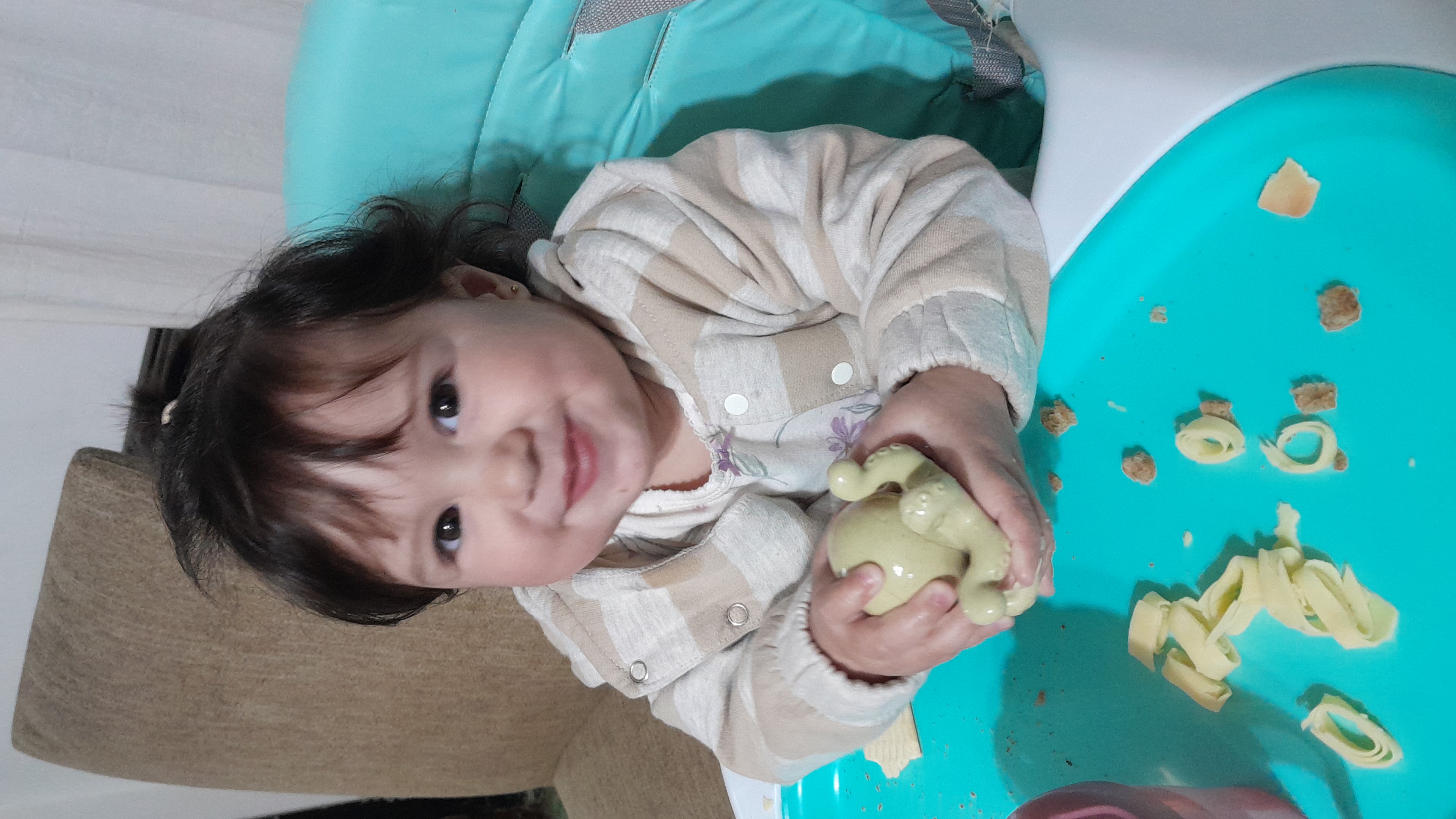 IMG-20250827-WA0066.jpeg