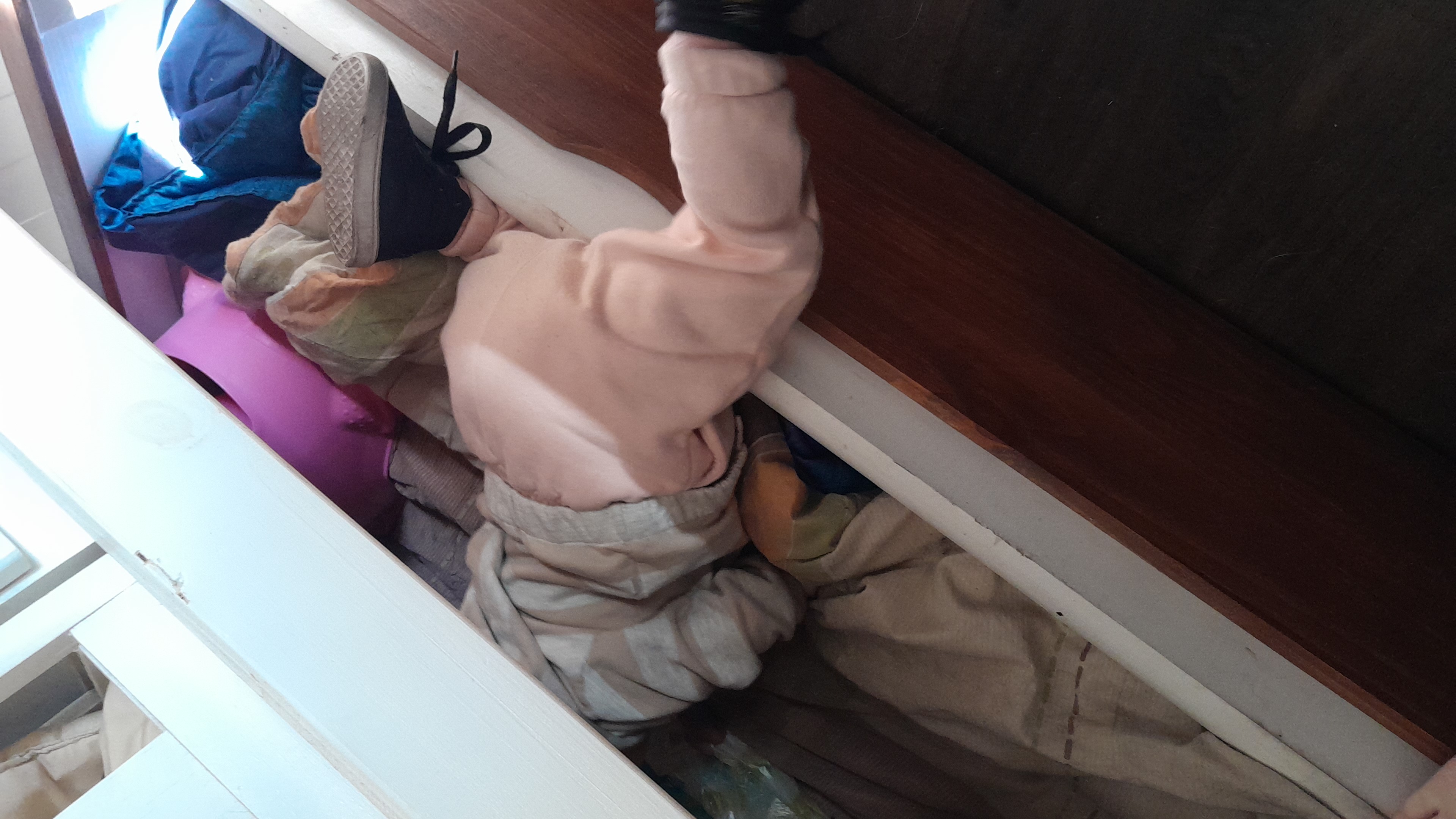 IMG-20250828-WA0000.jpeg