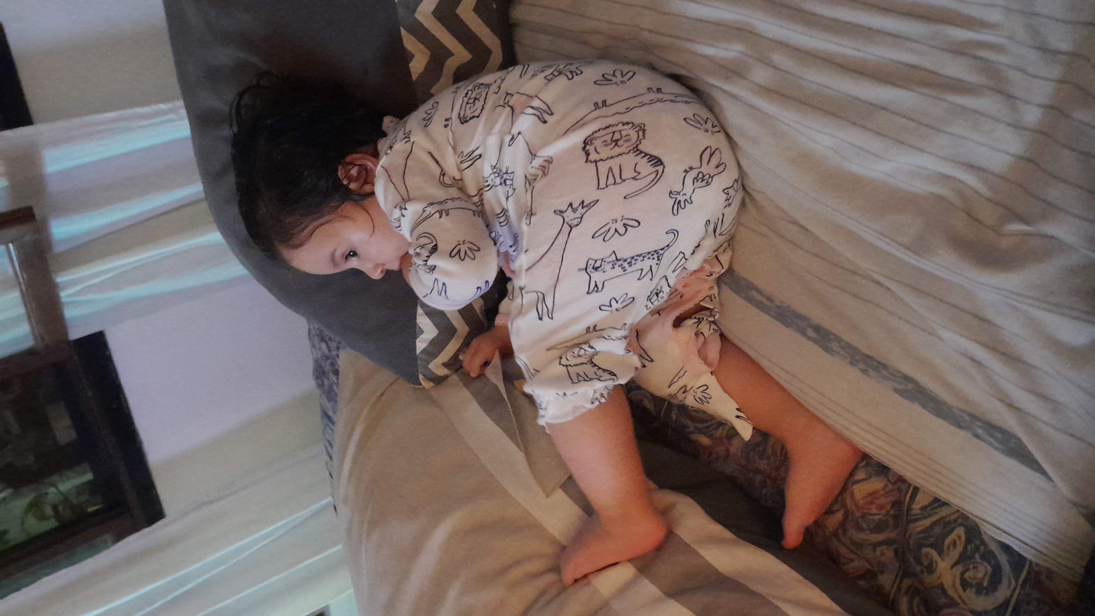 IMG-20250831-WA0019.jpeg