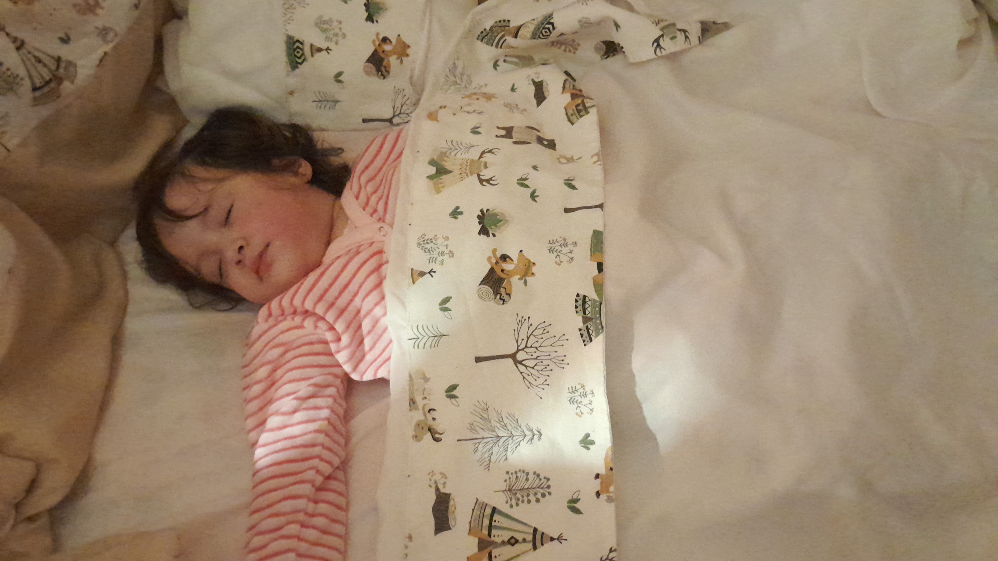 IMG-20251201-WA0093.jpeg