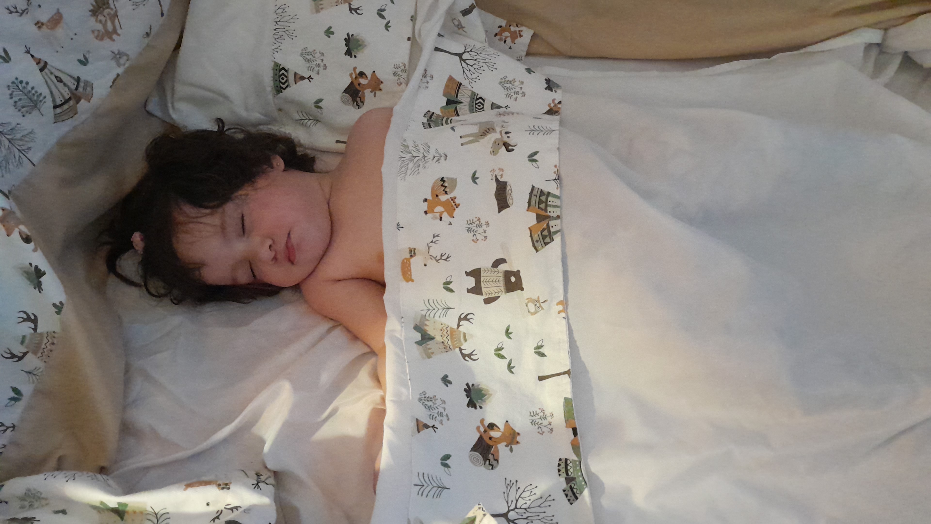 IMG-20251202-WA0034.jpeg